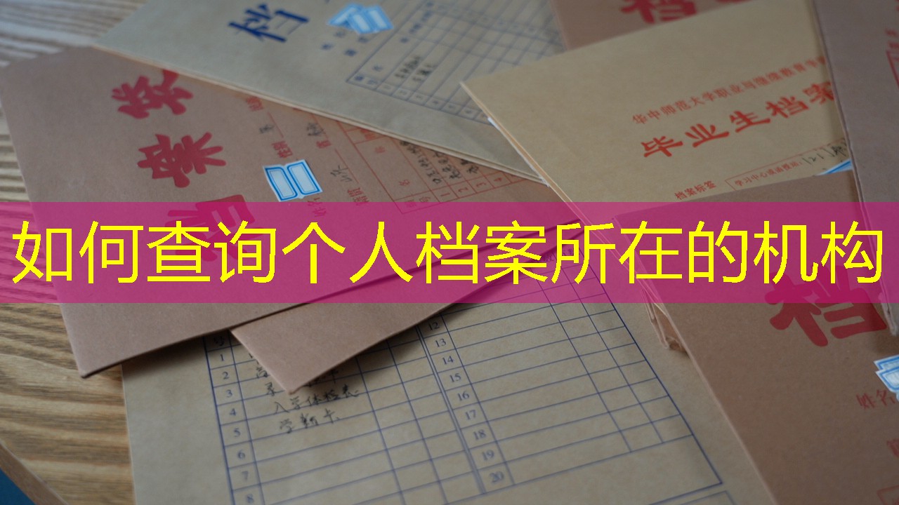 档案查询