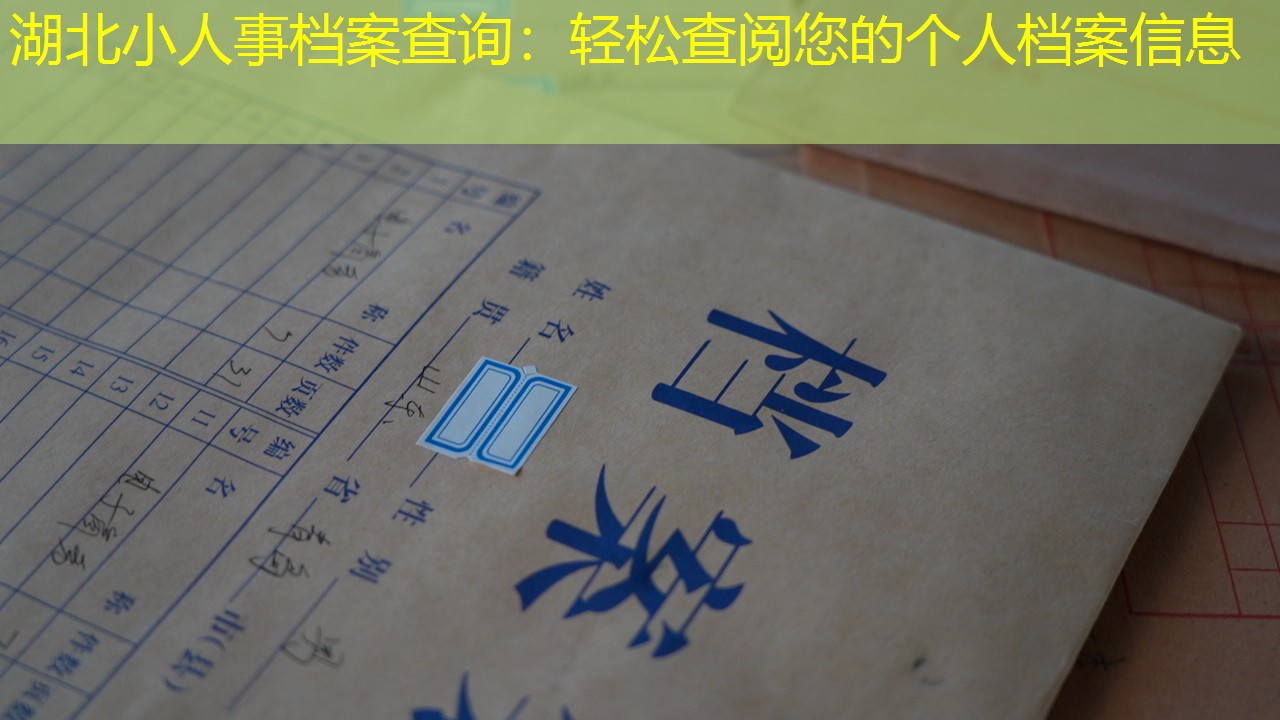 档案查询