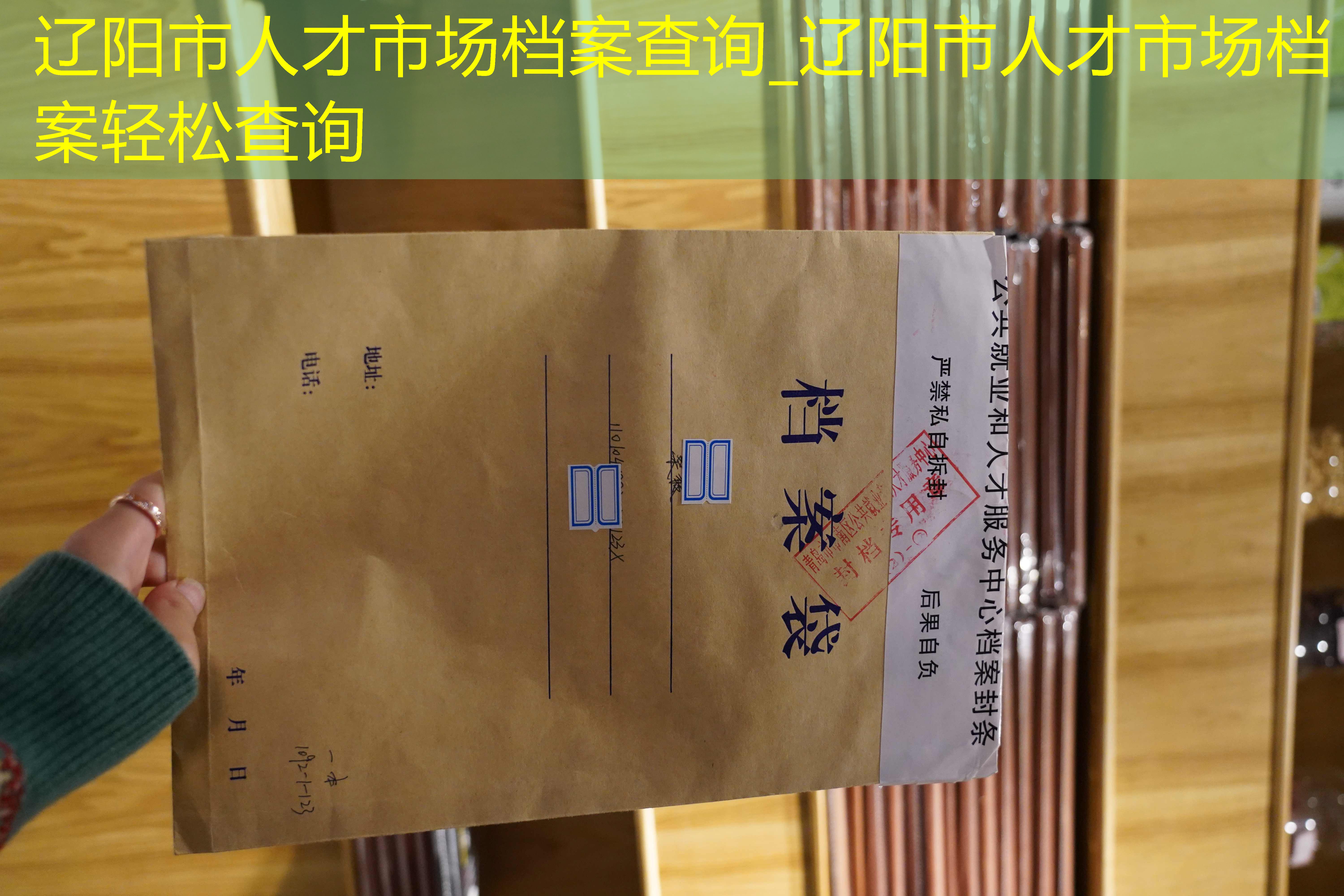档案查询
