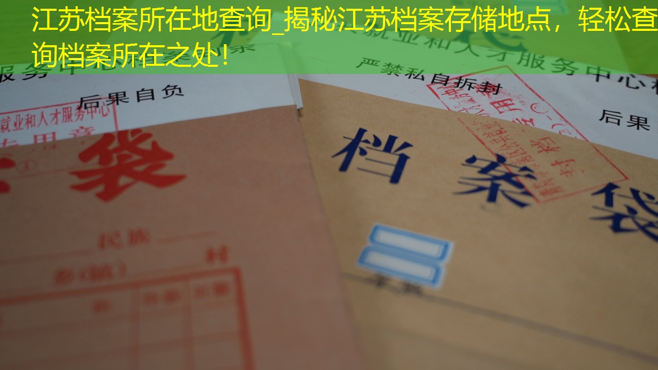 档案查询