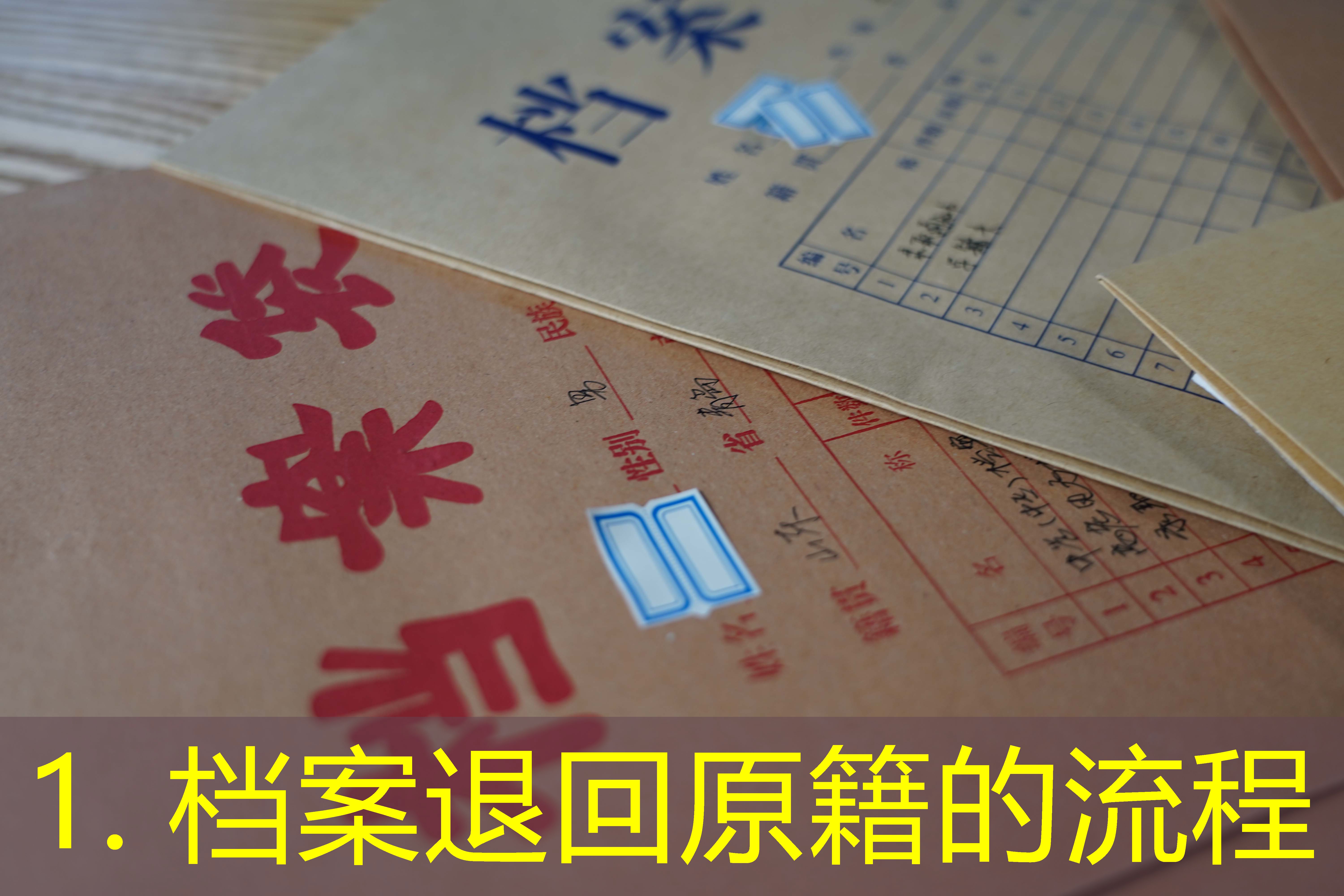 档案查询
