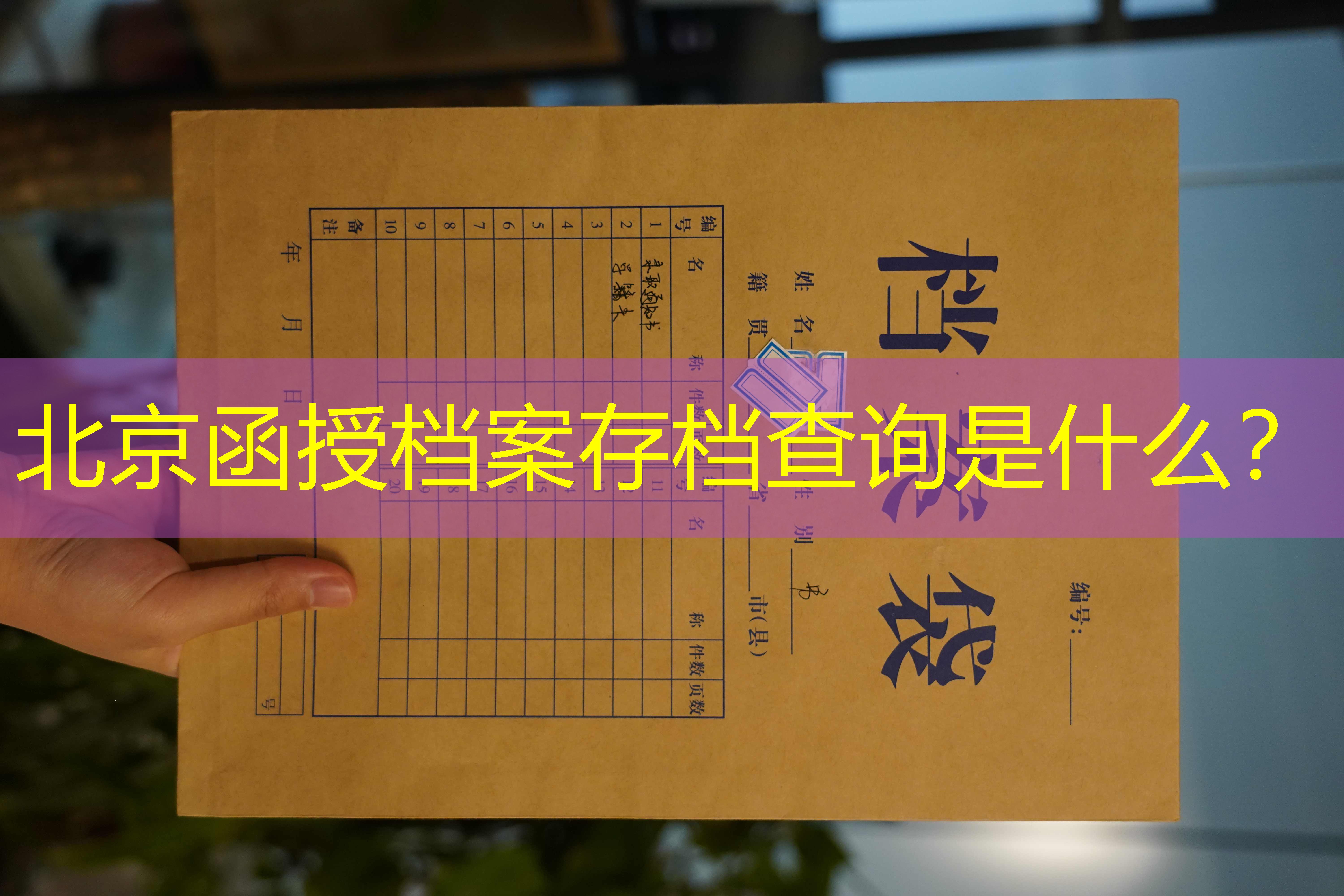 档案查询