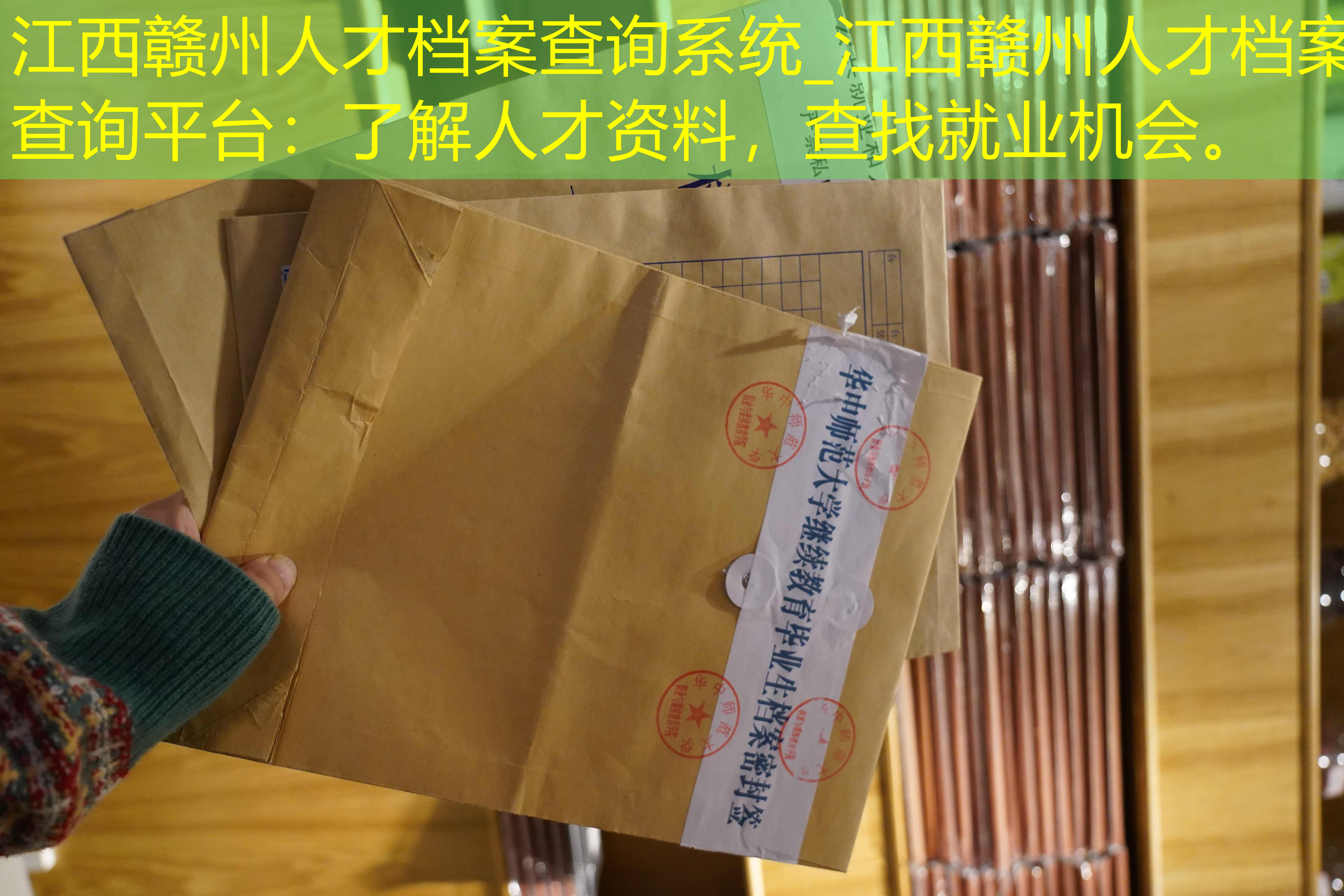 档案查询