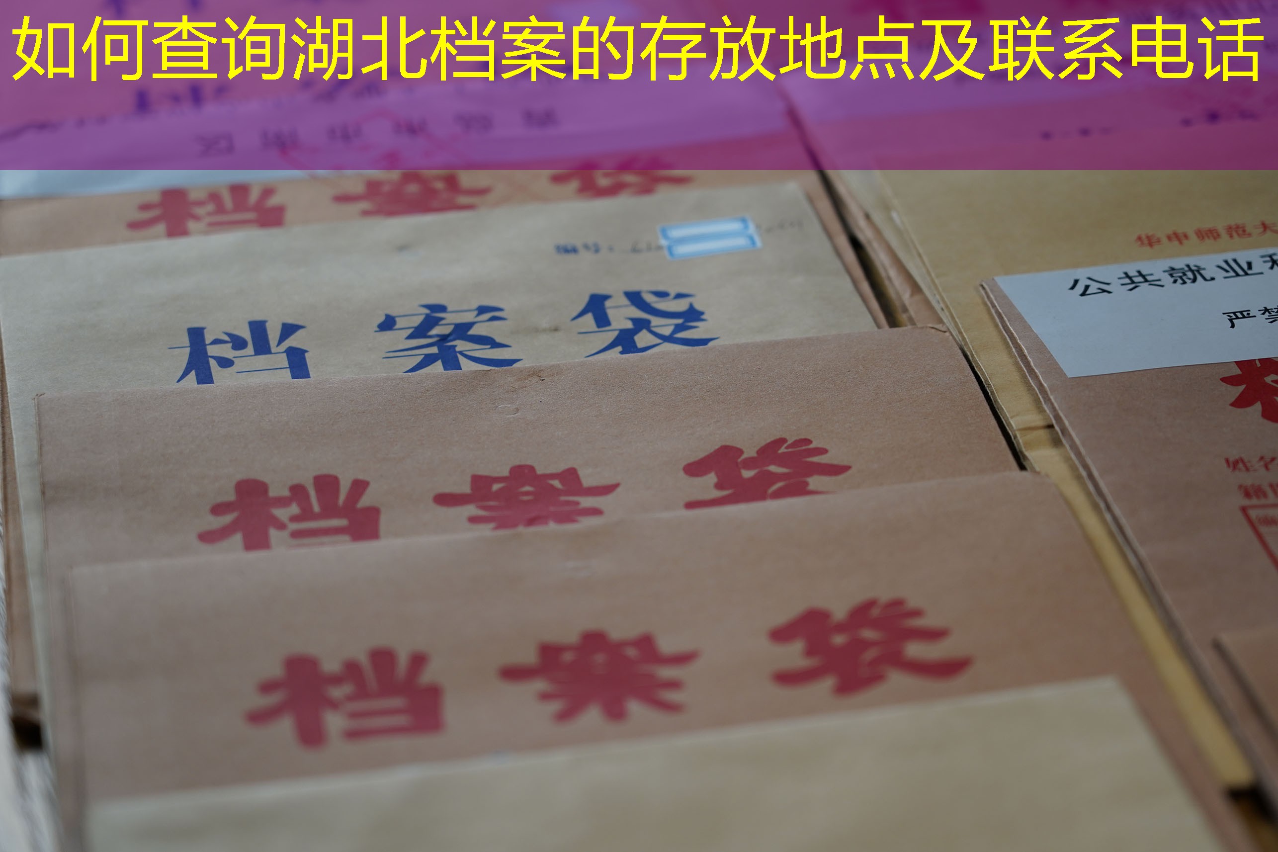 档案查询