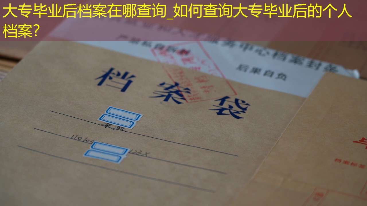 档案查询