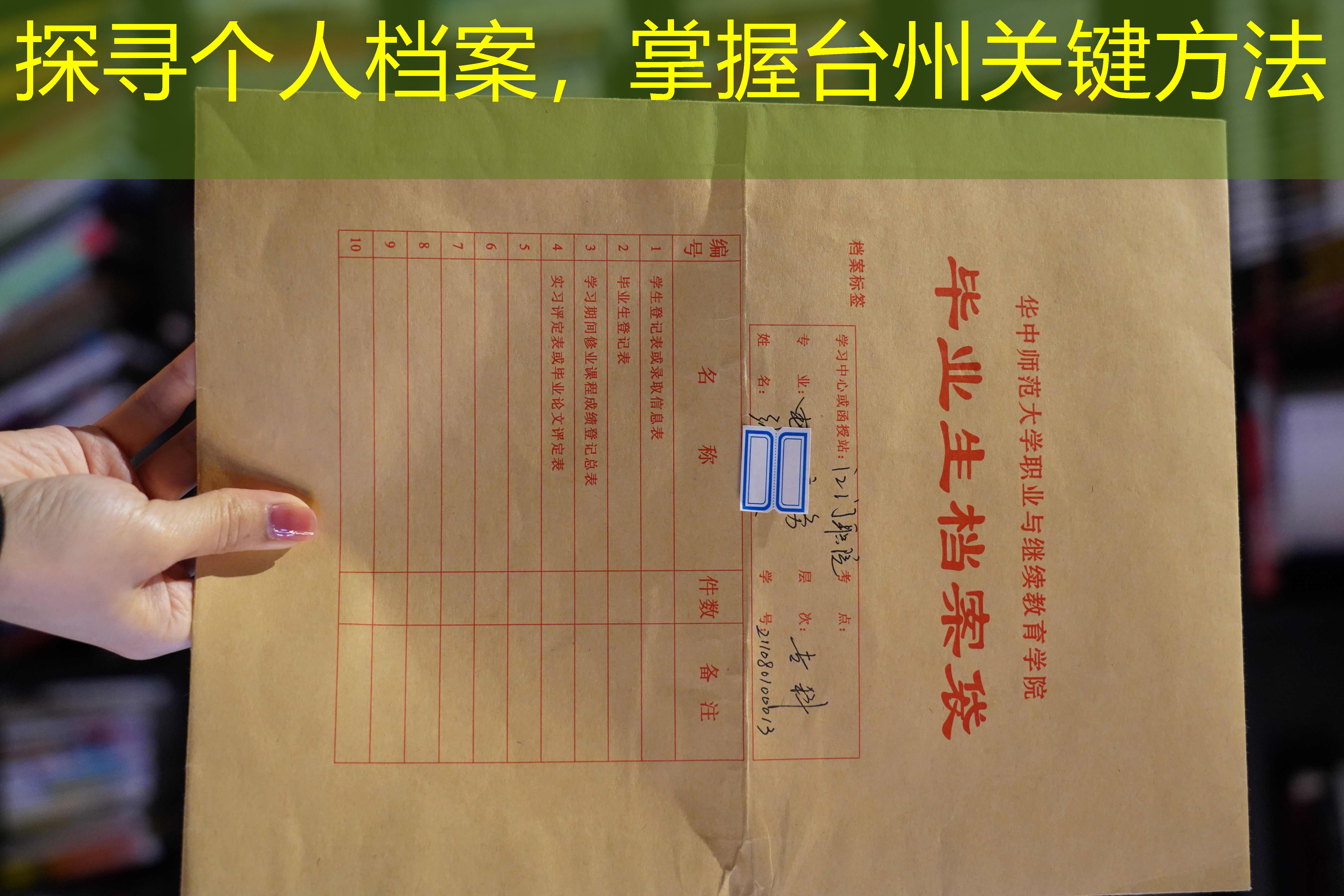 档案查询