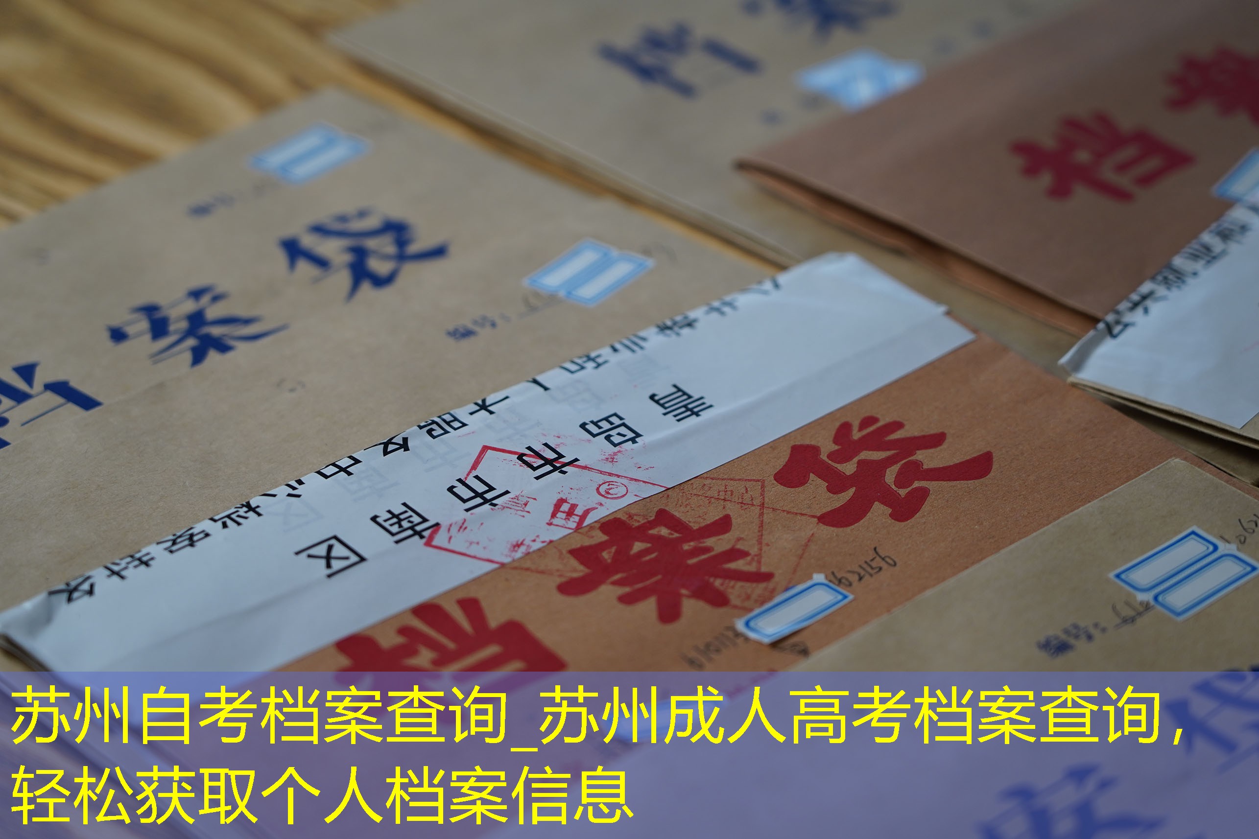 档案查询