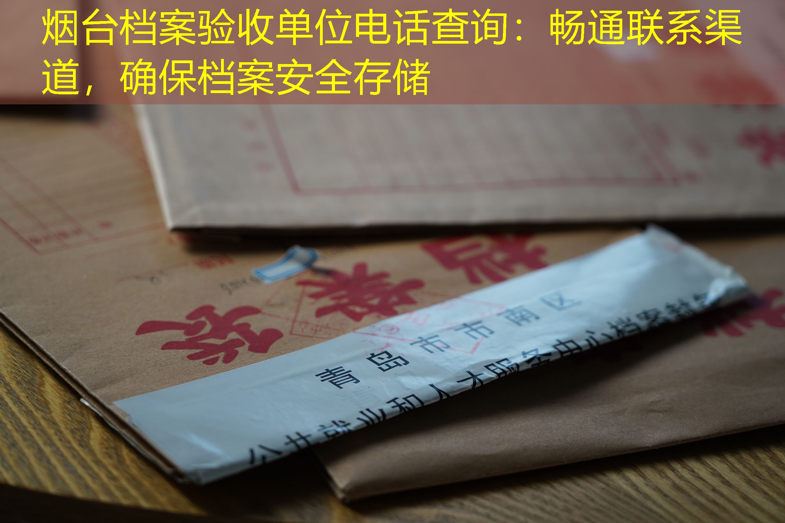档案查询