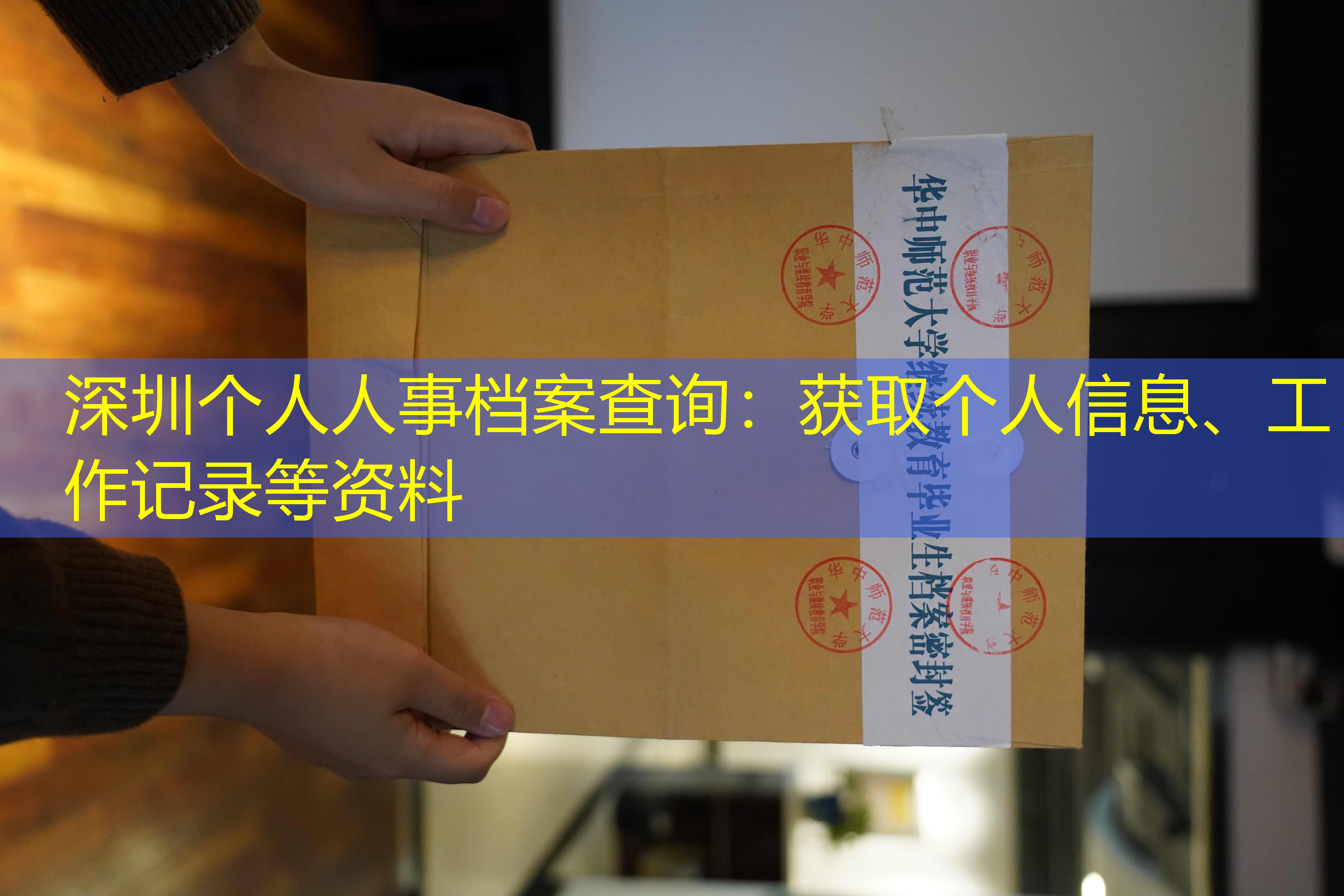档案查询