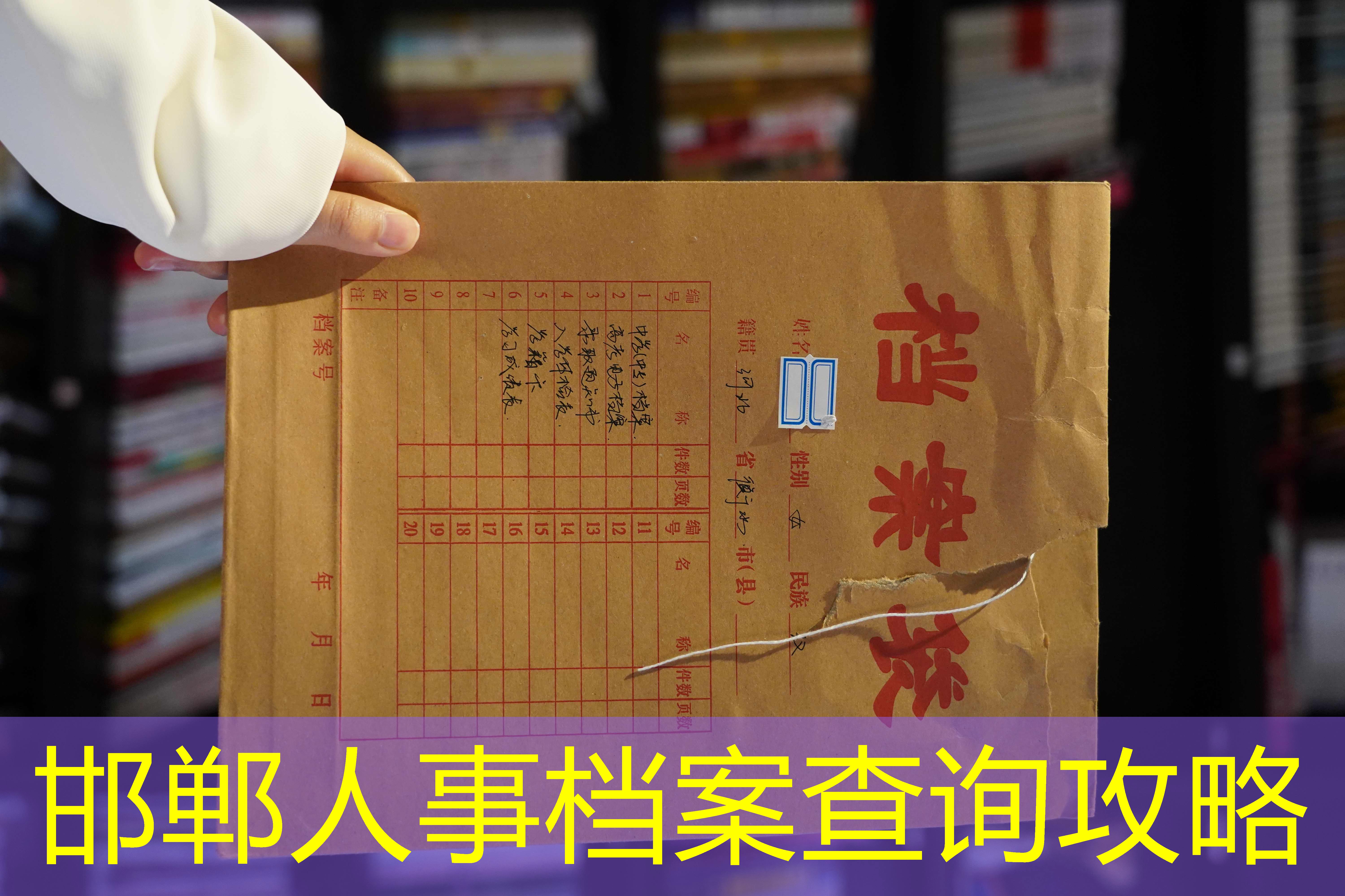 档案查询
