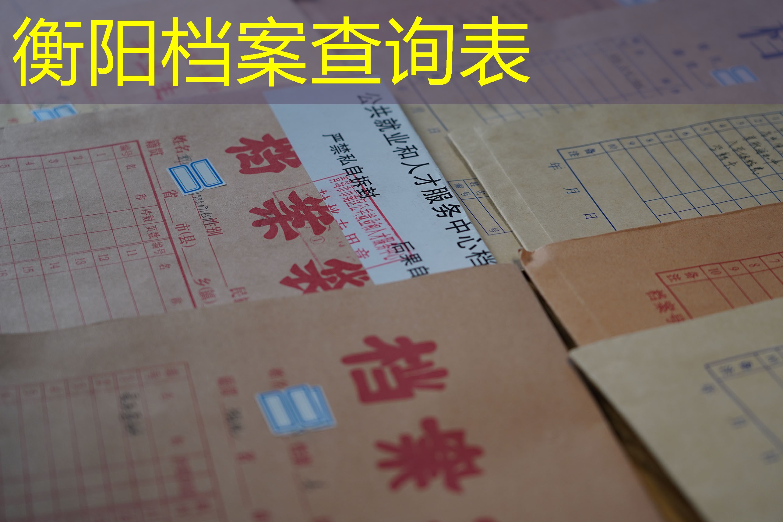档案查询