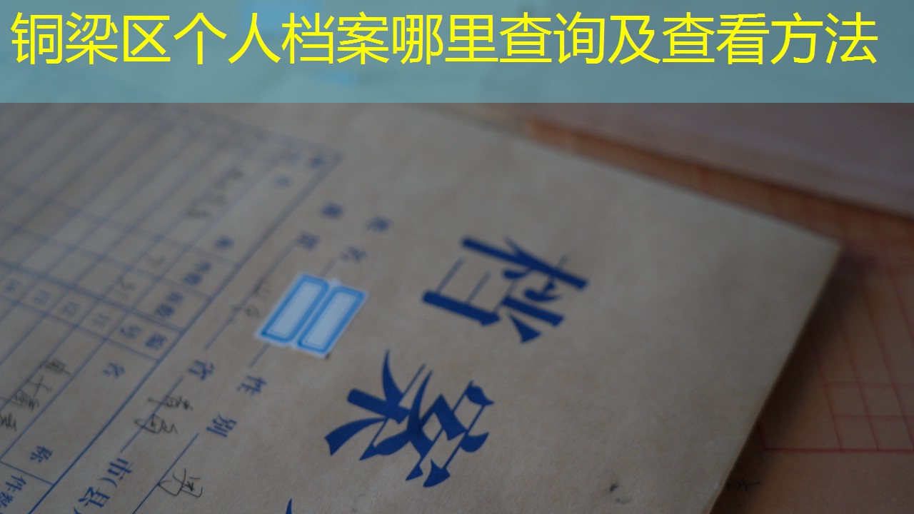 档案查询