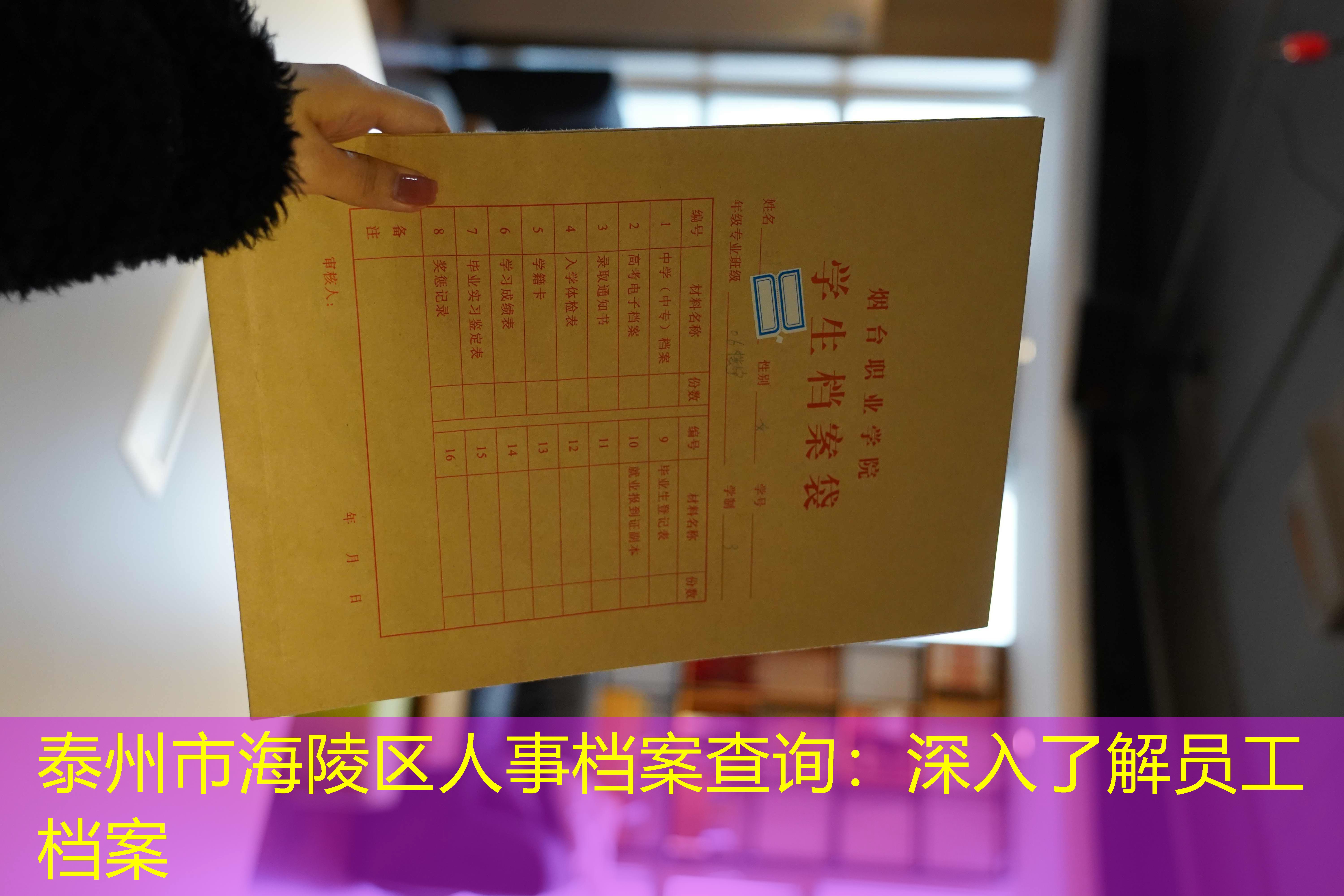 档案查询