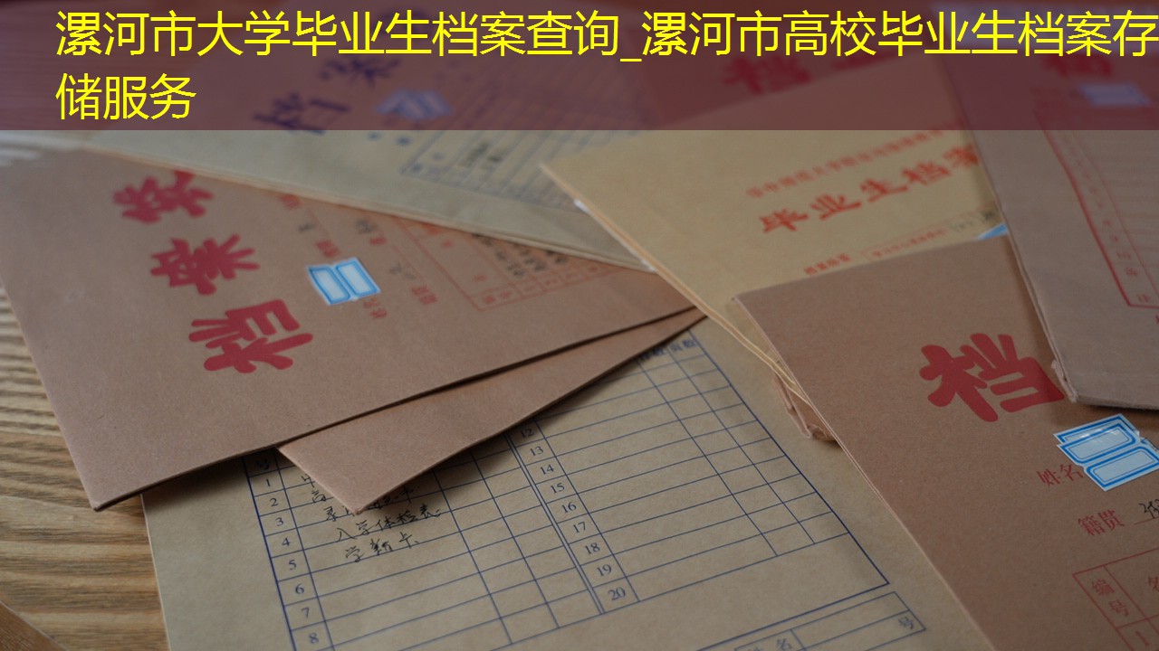 档案查询