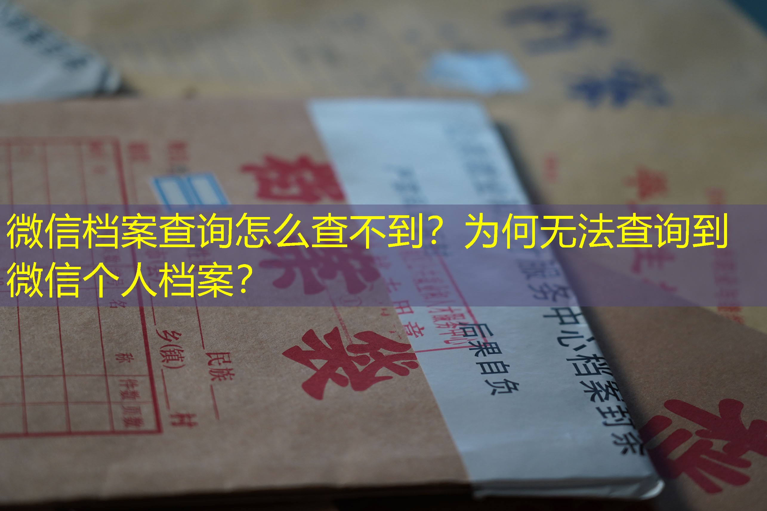档案查询