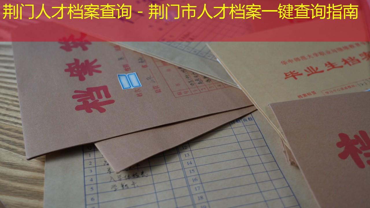 档案查询