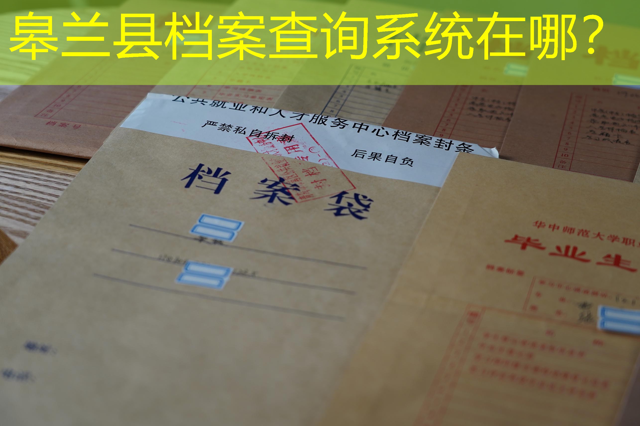 档案查询