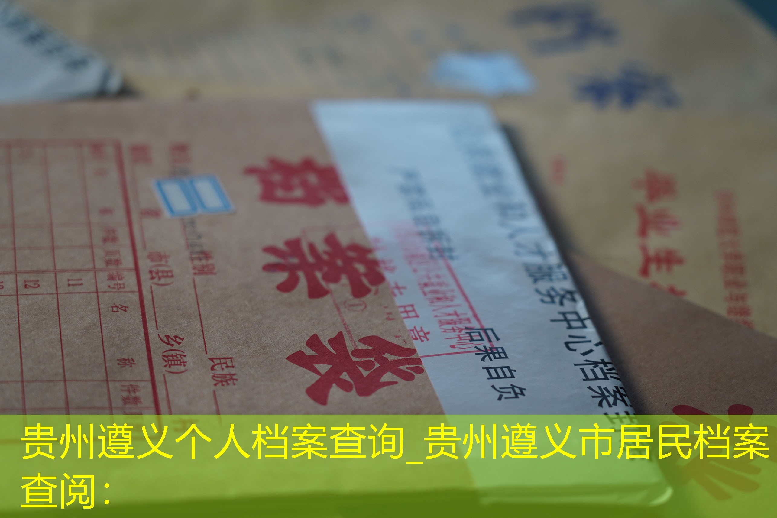 档案查询