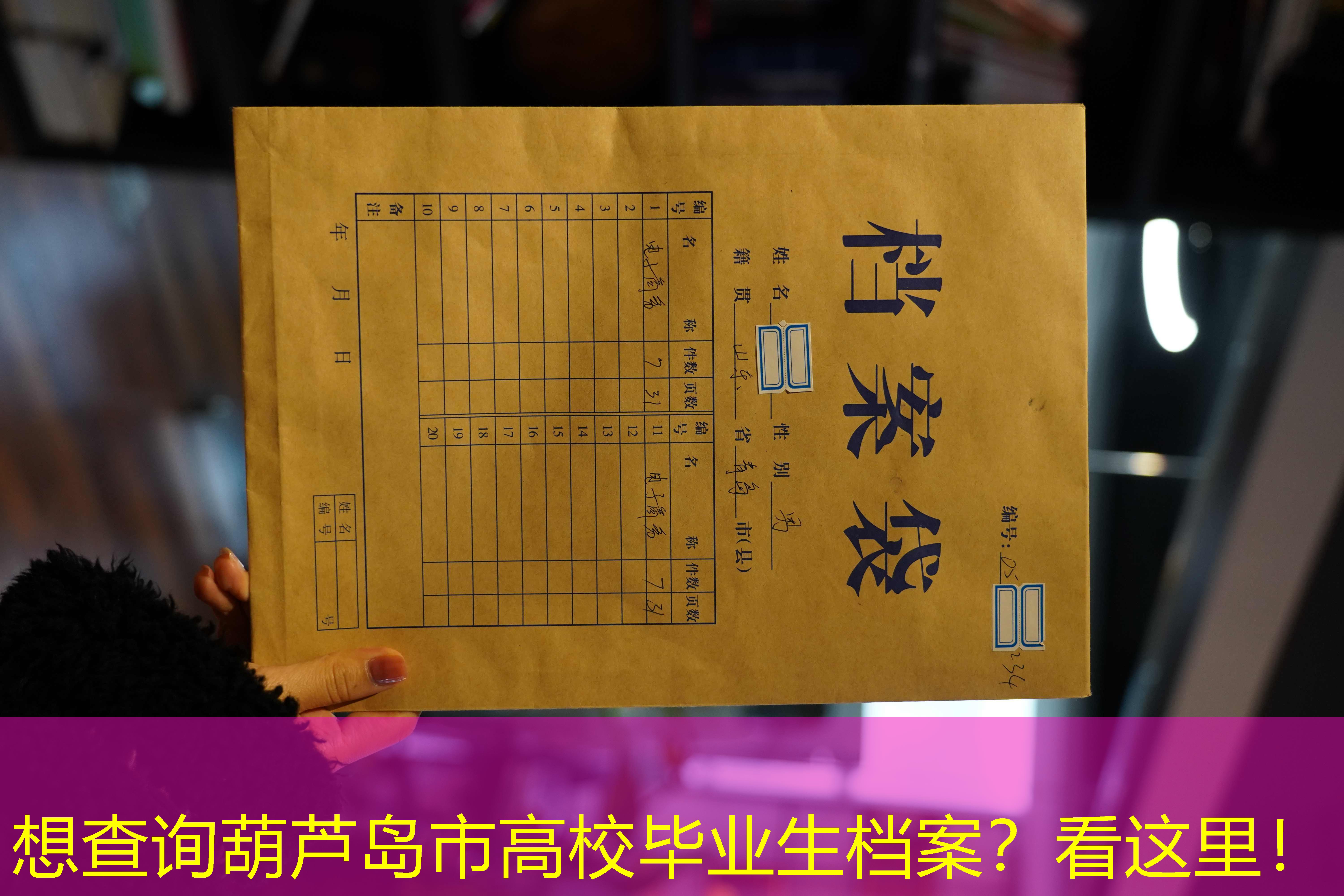 档案查询