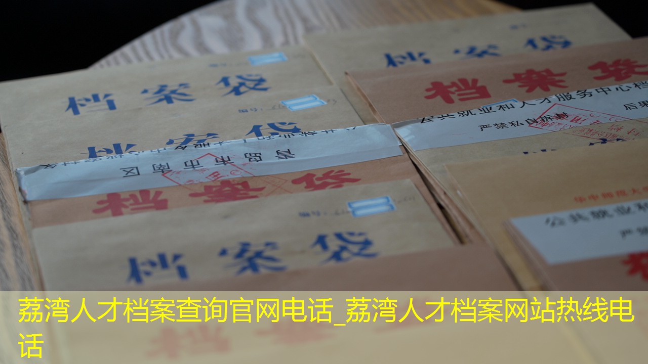 档案查询