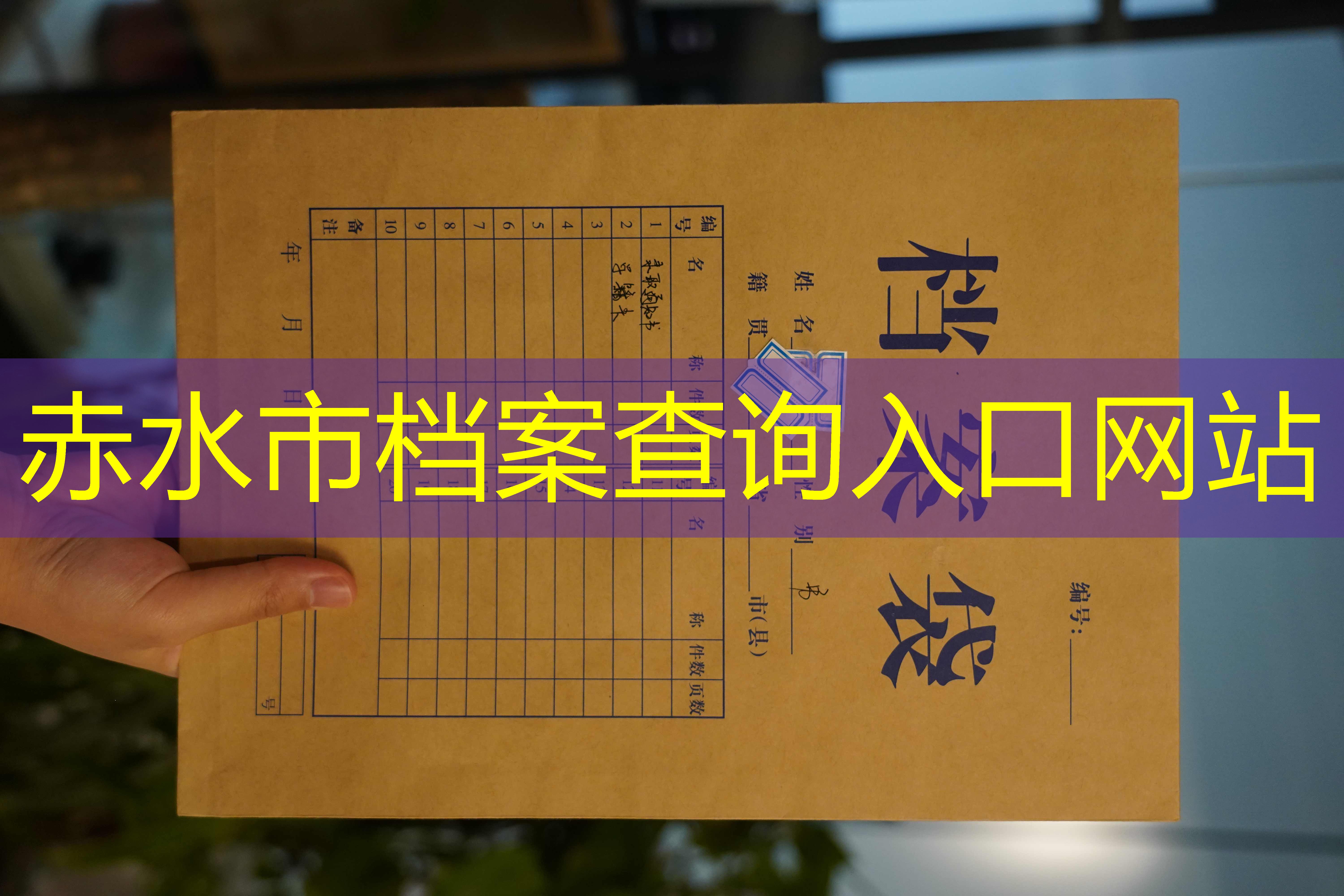 档案查询