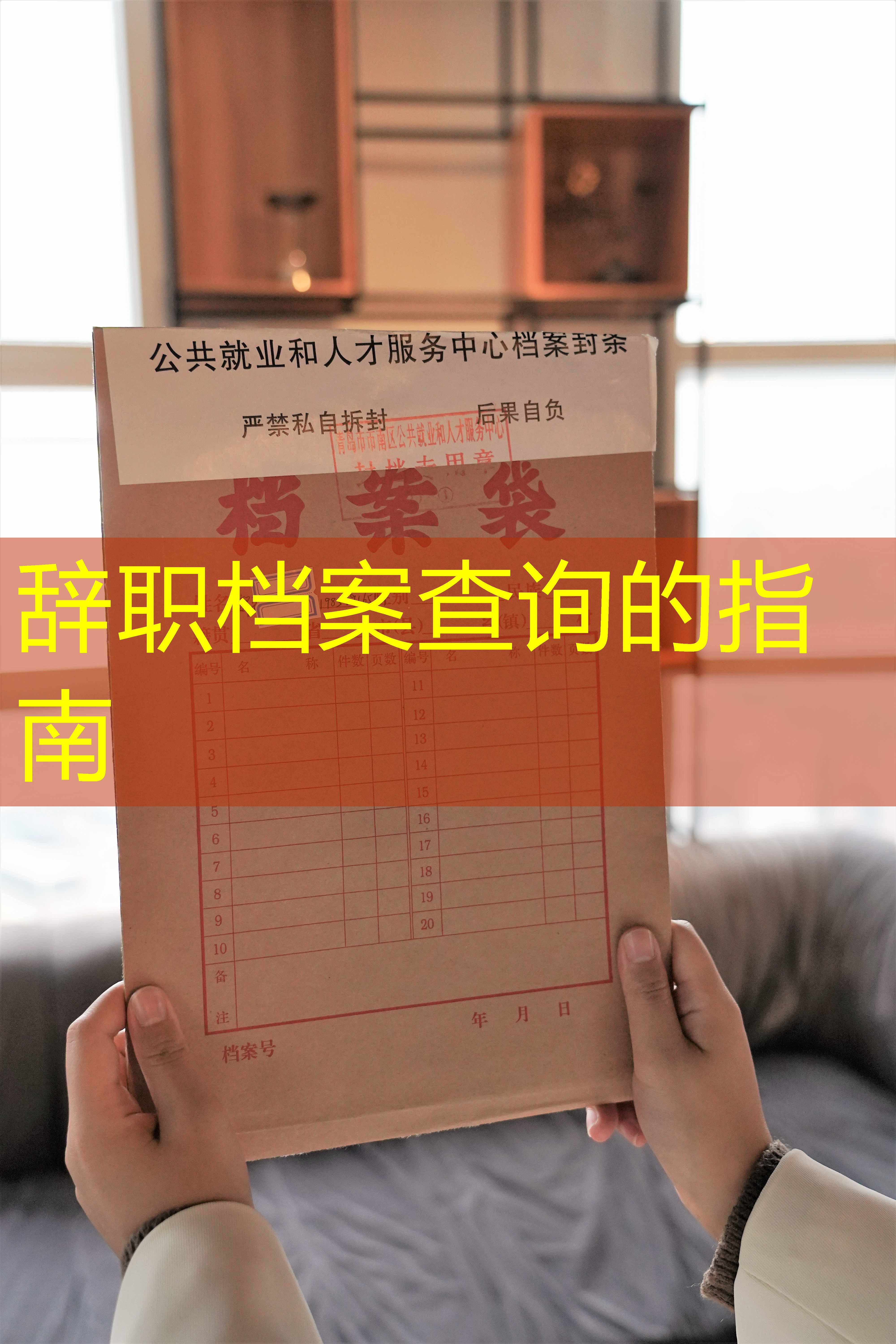 档案查询