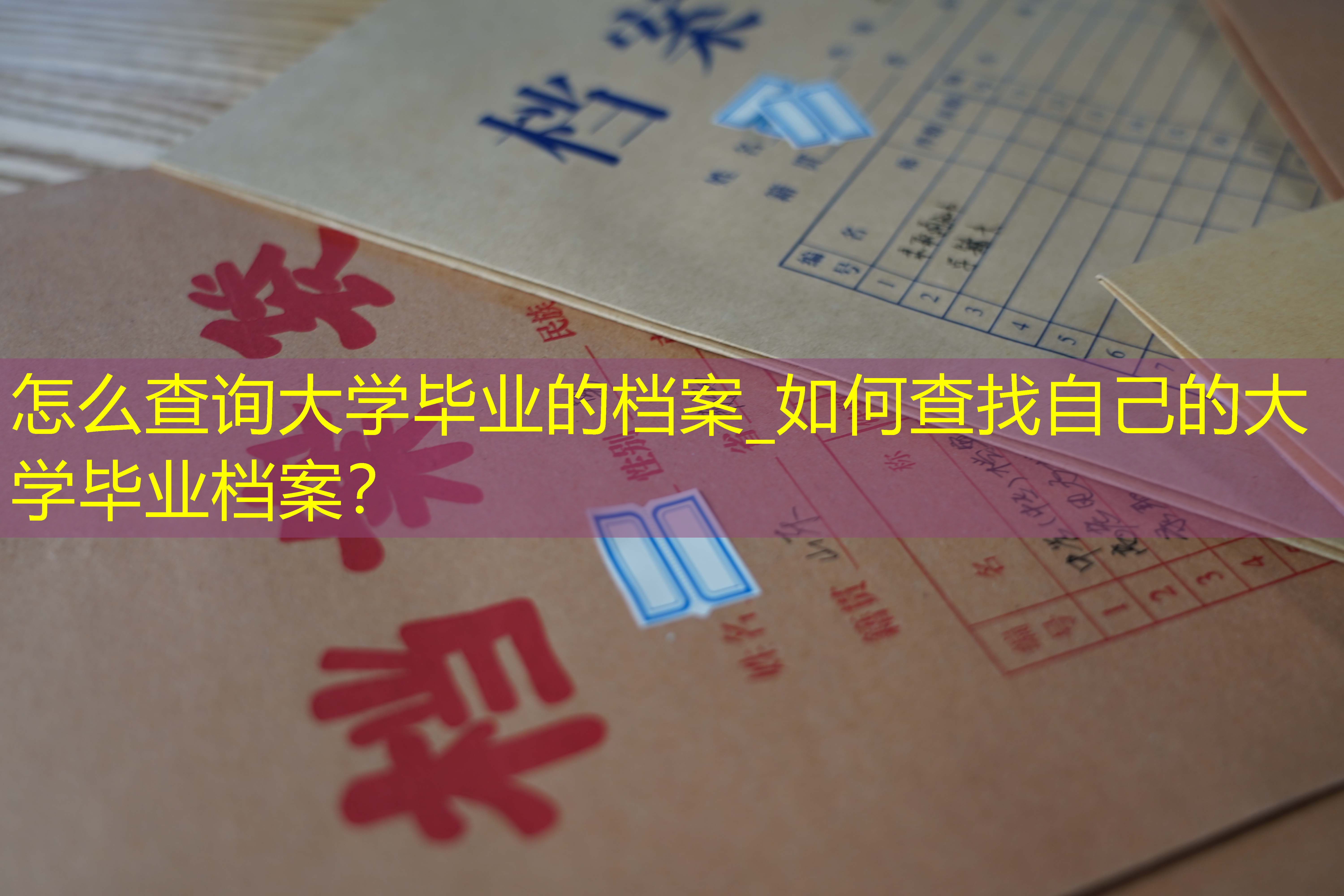 档案查询