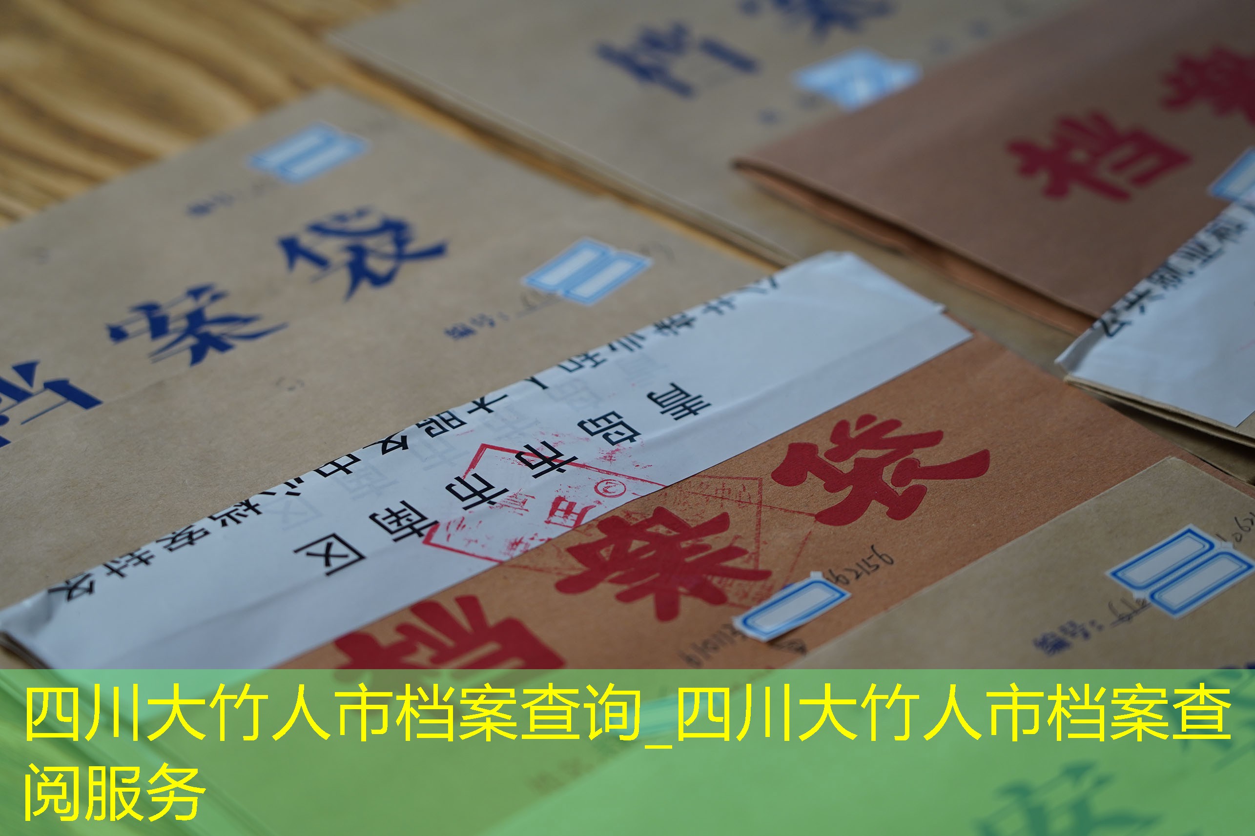 档案查询