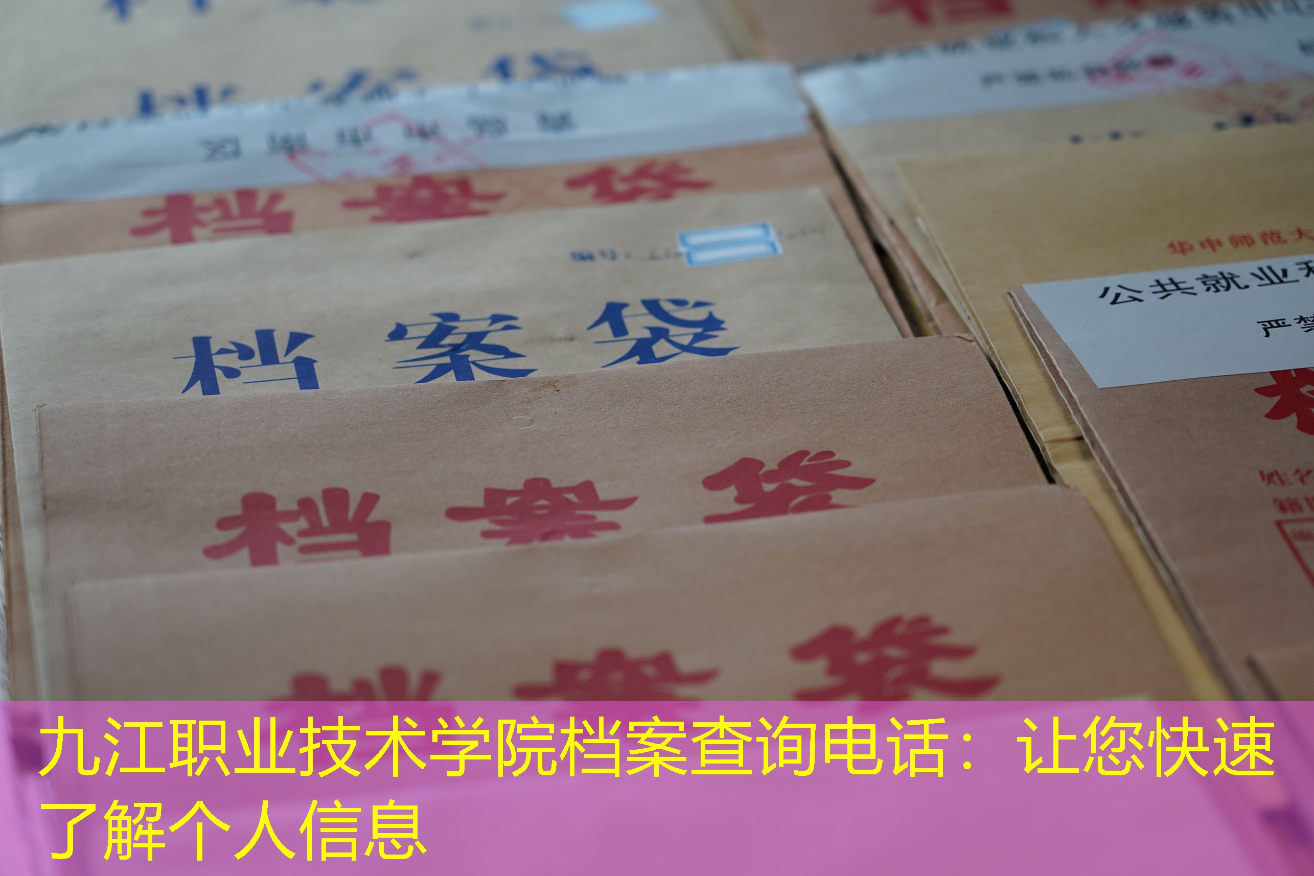 档案查询