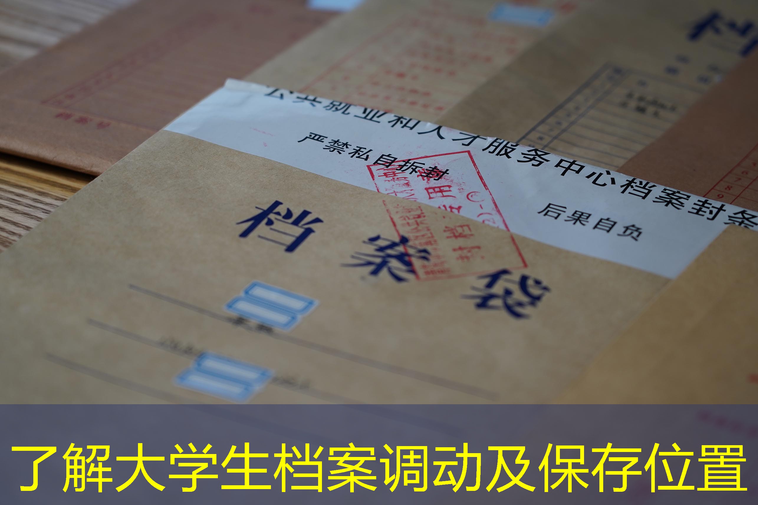 档案查询