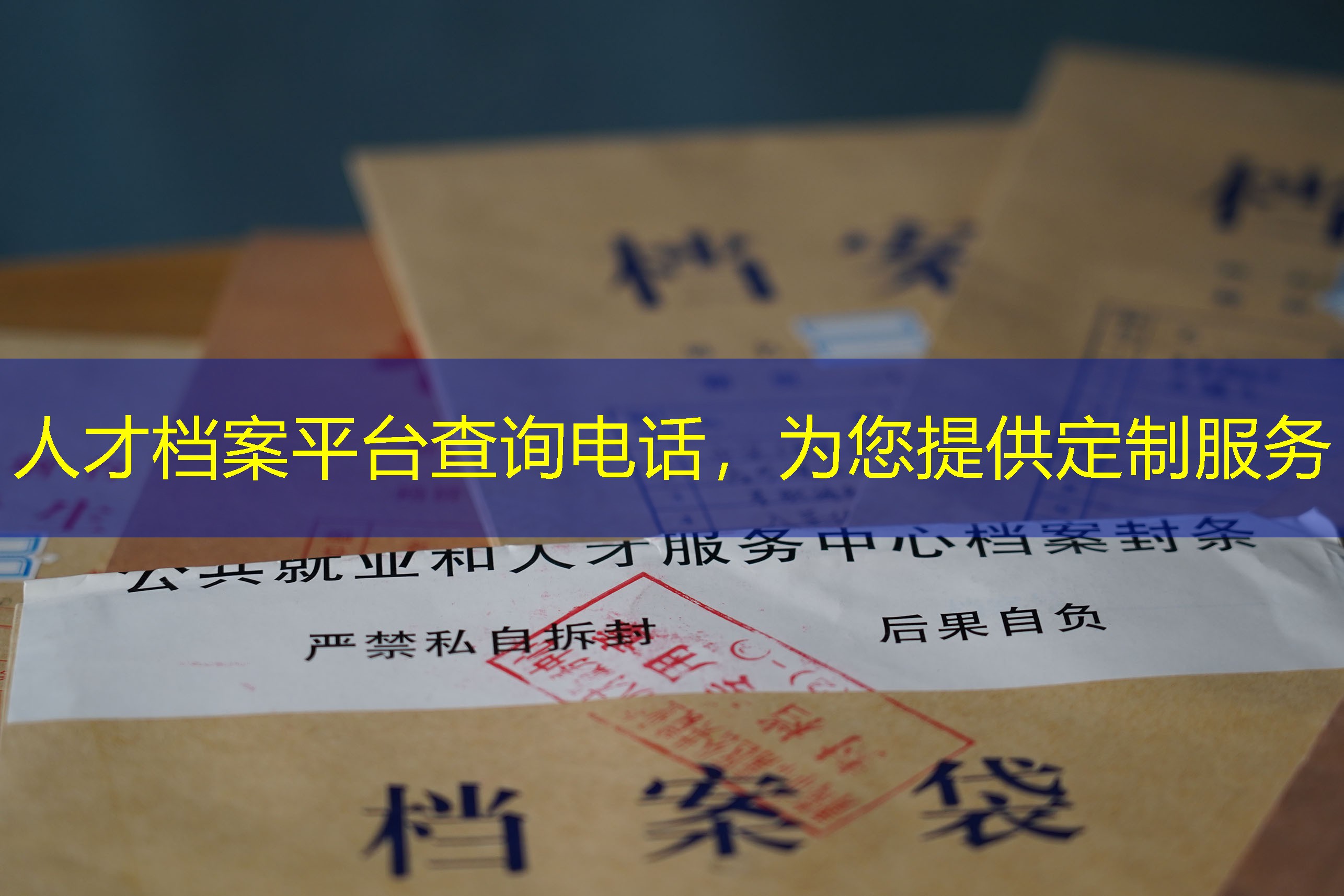档案查询