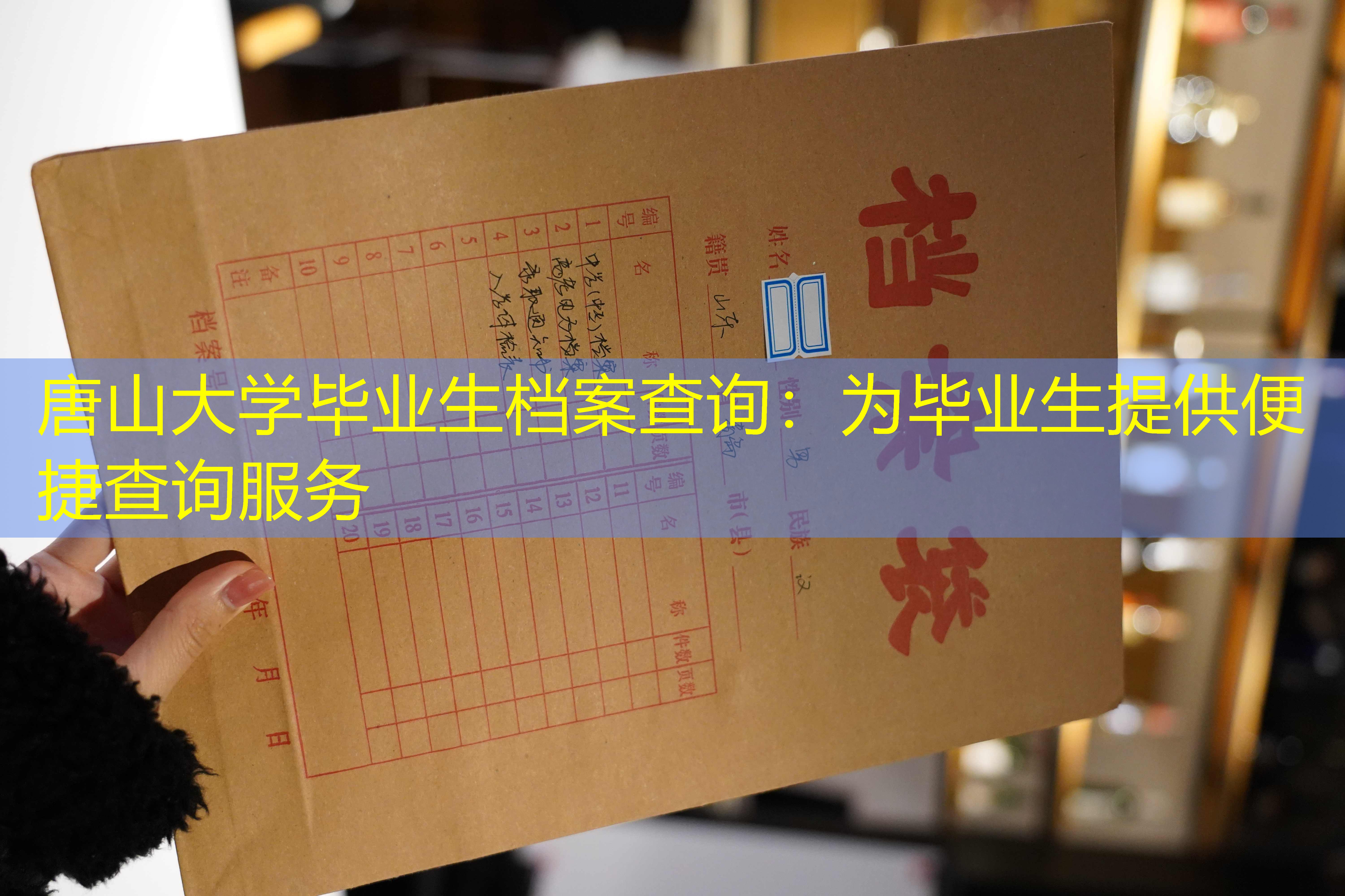 档案查询