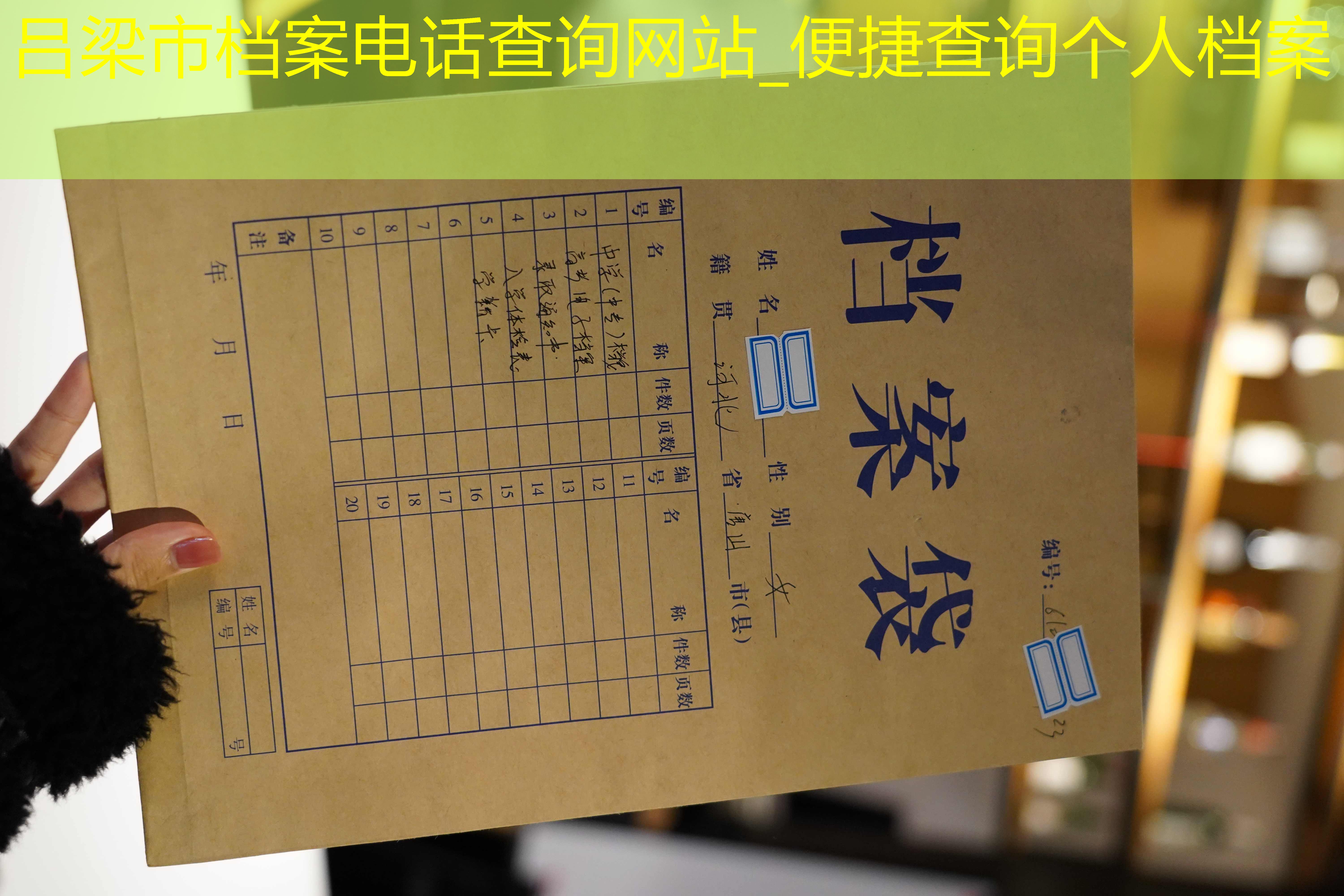 档案查询