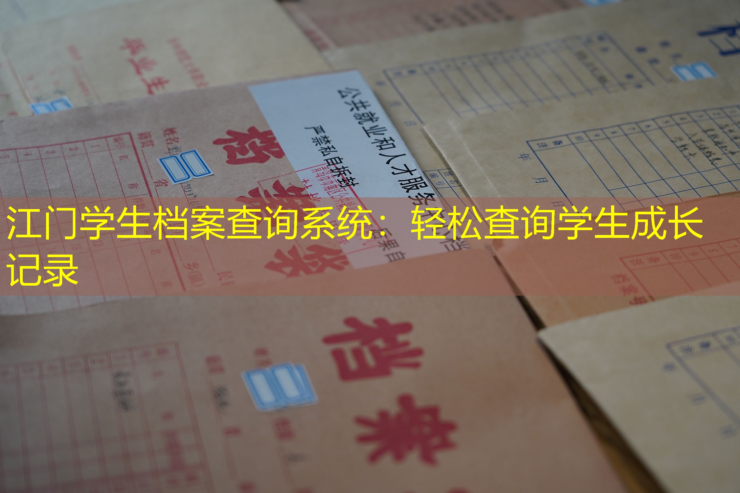 档案查询