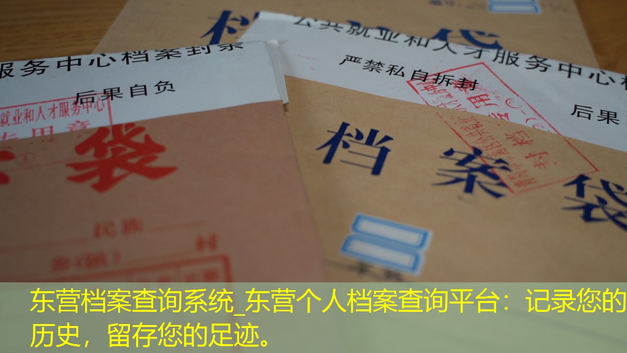 档案查询