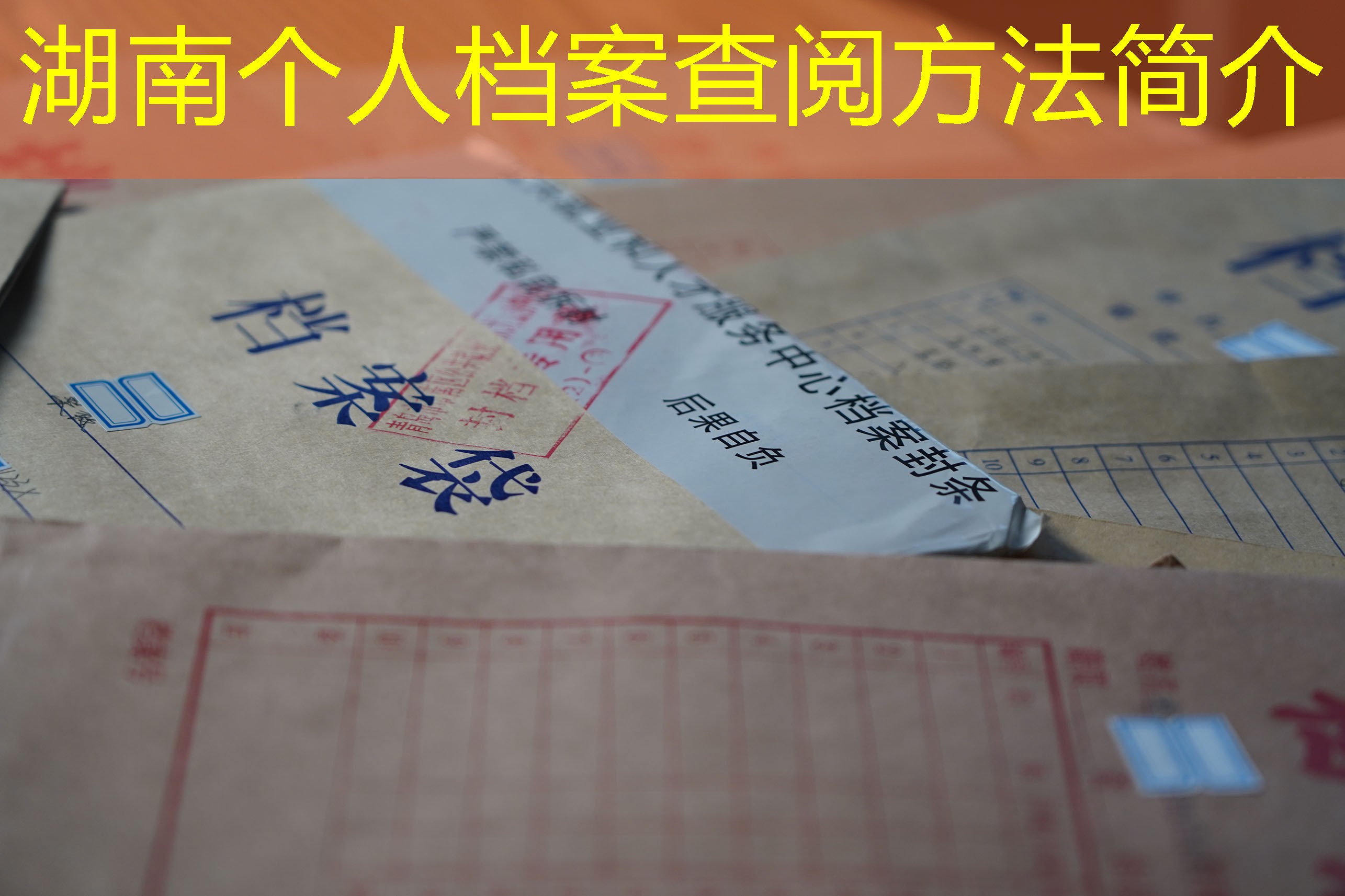 档案查询