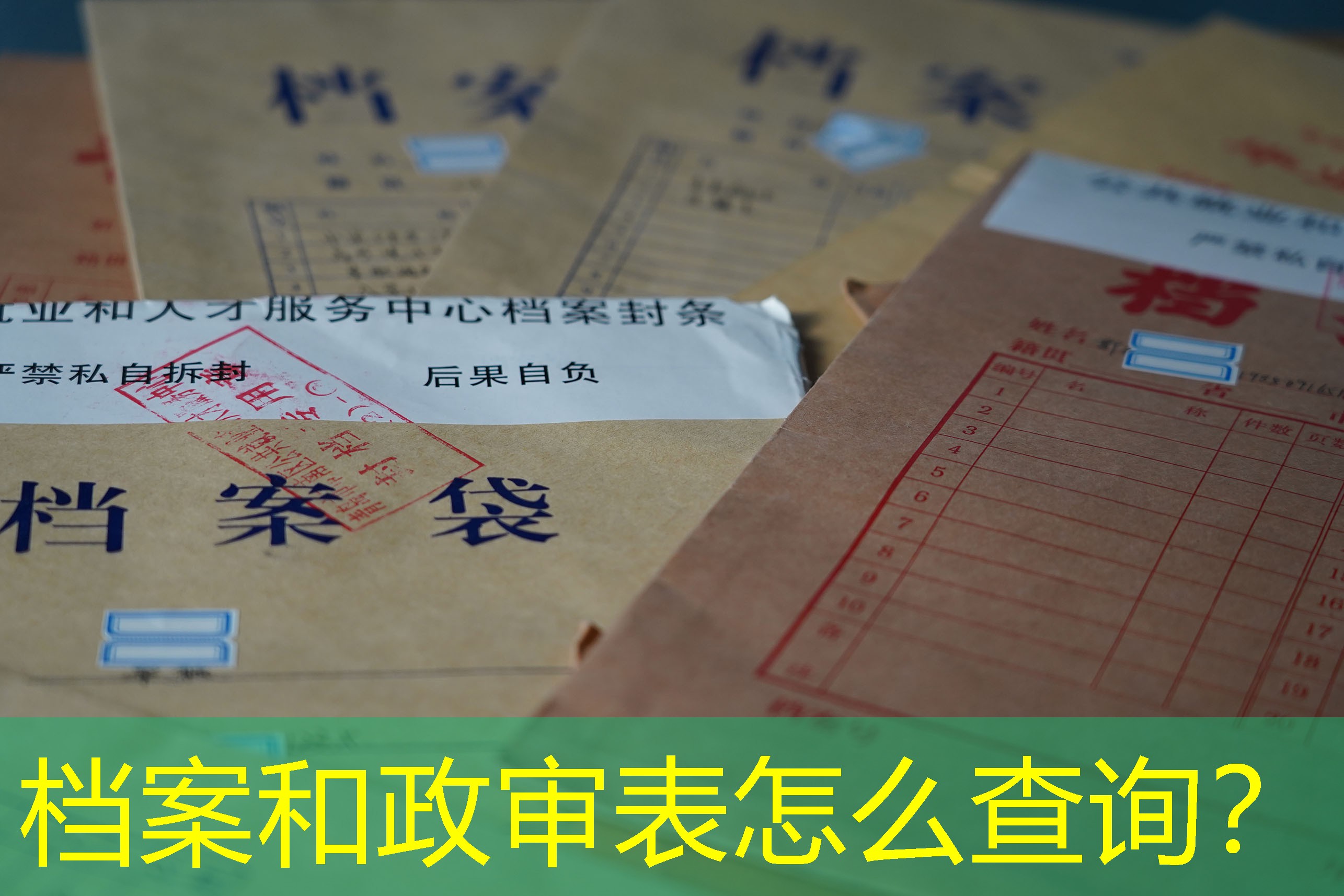 档案查询