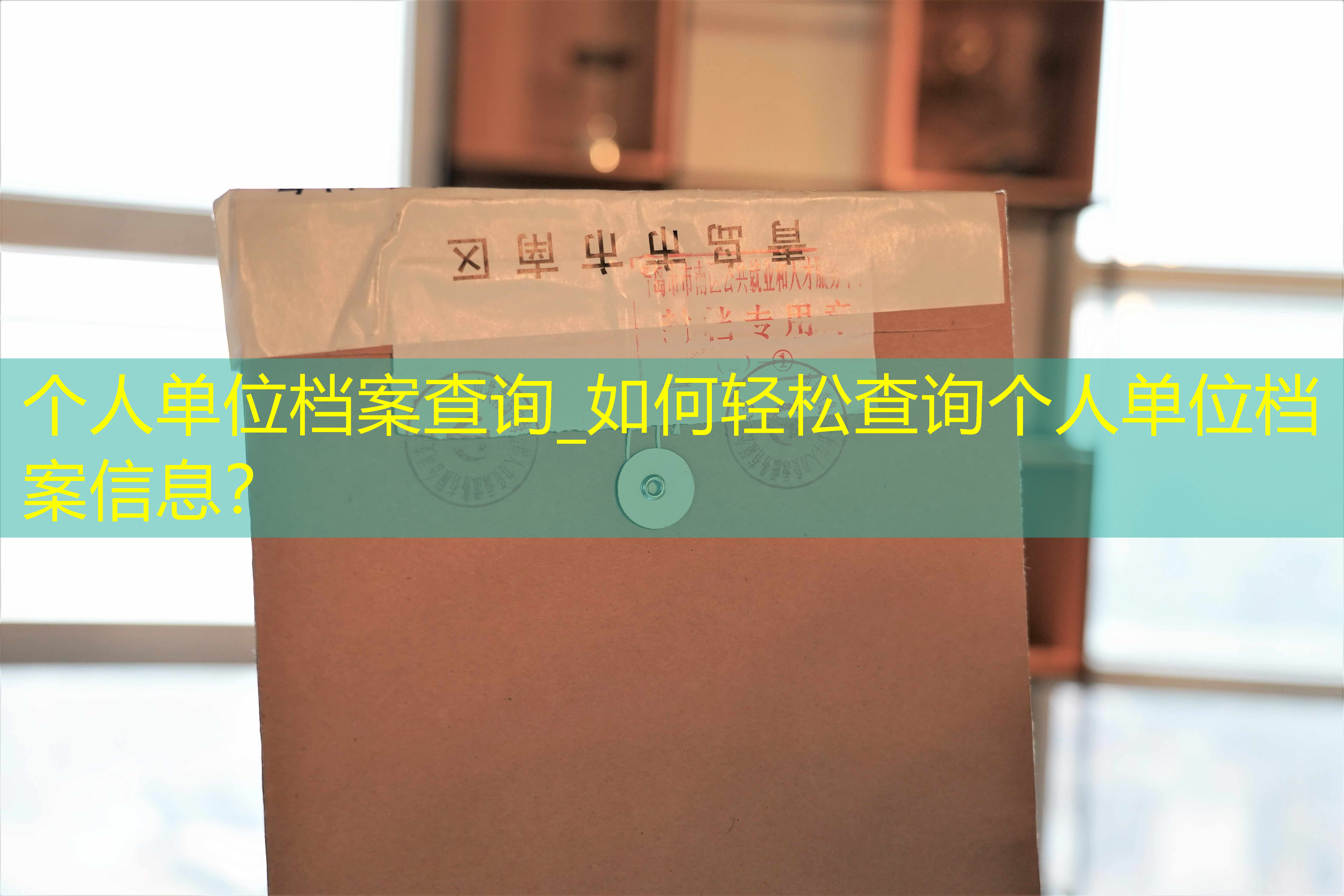 档案查询
