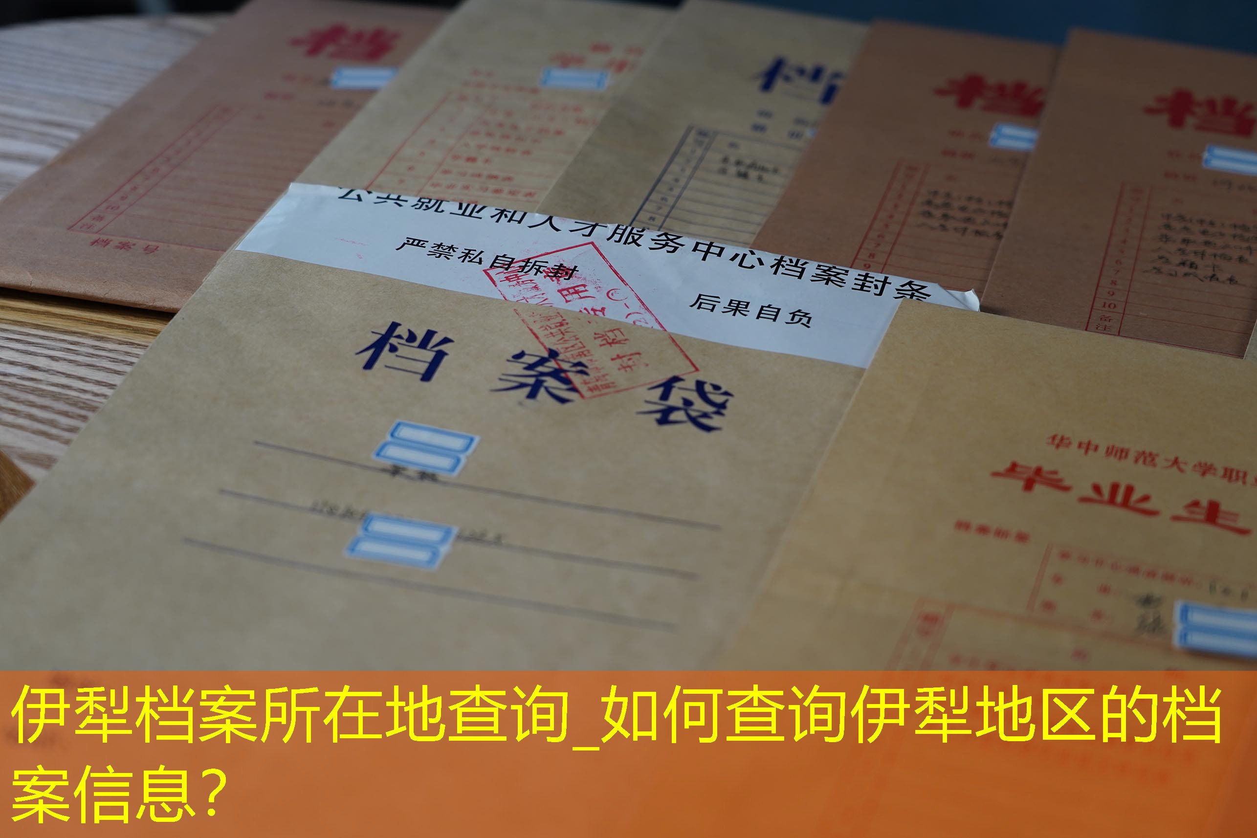 档案查询