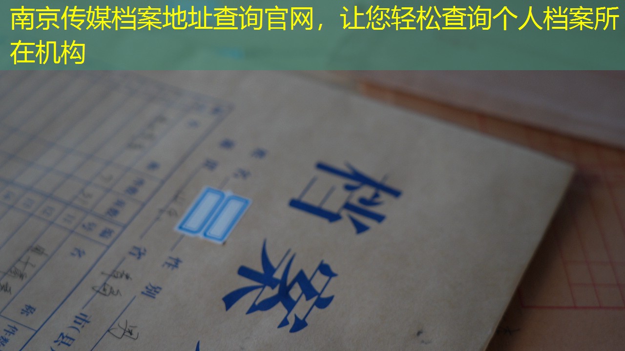 档案查询