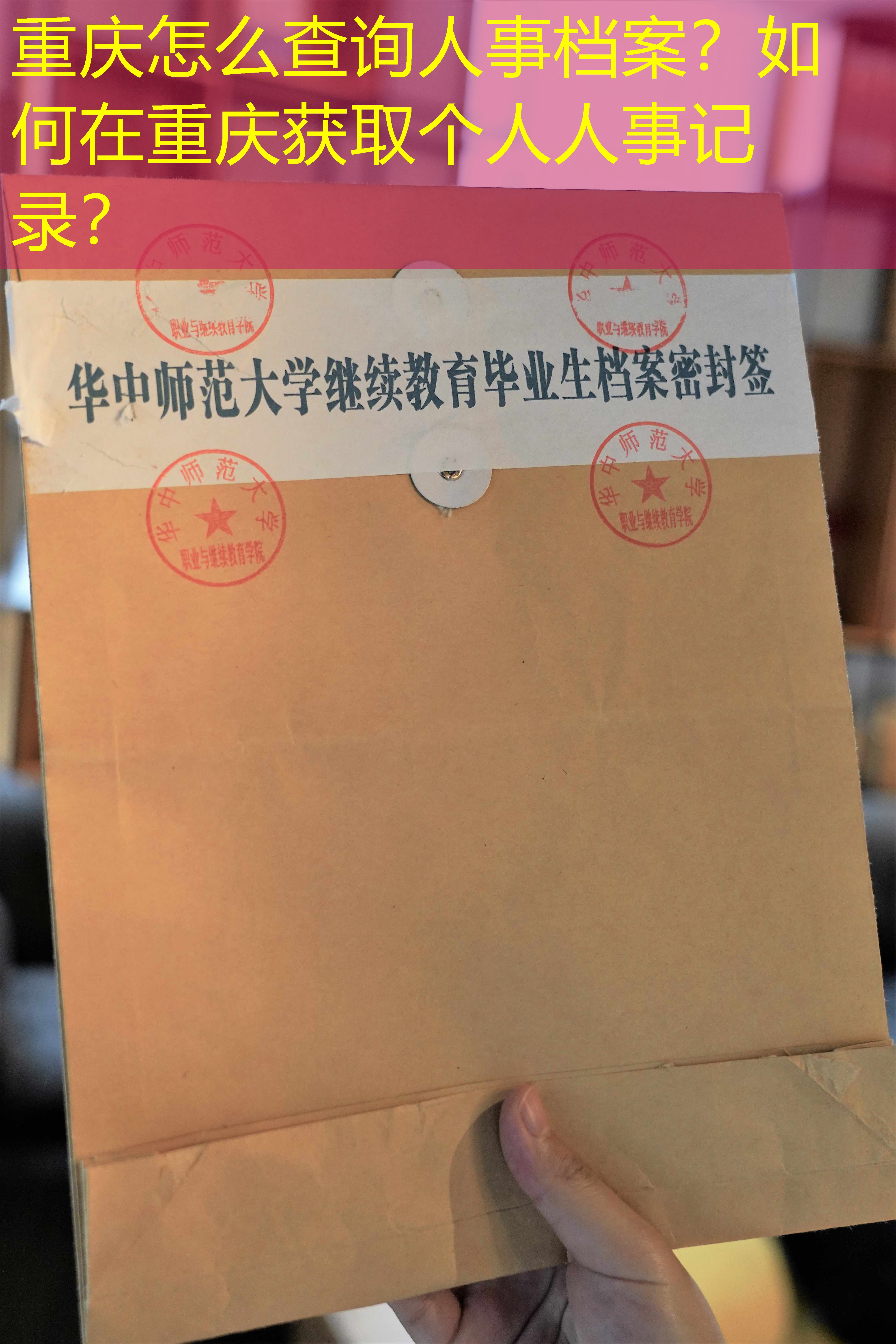 档案查询