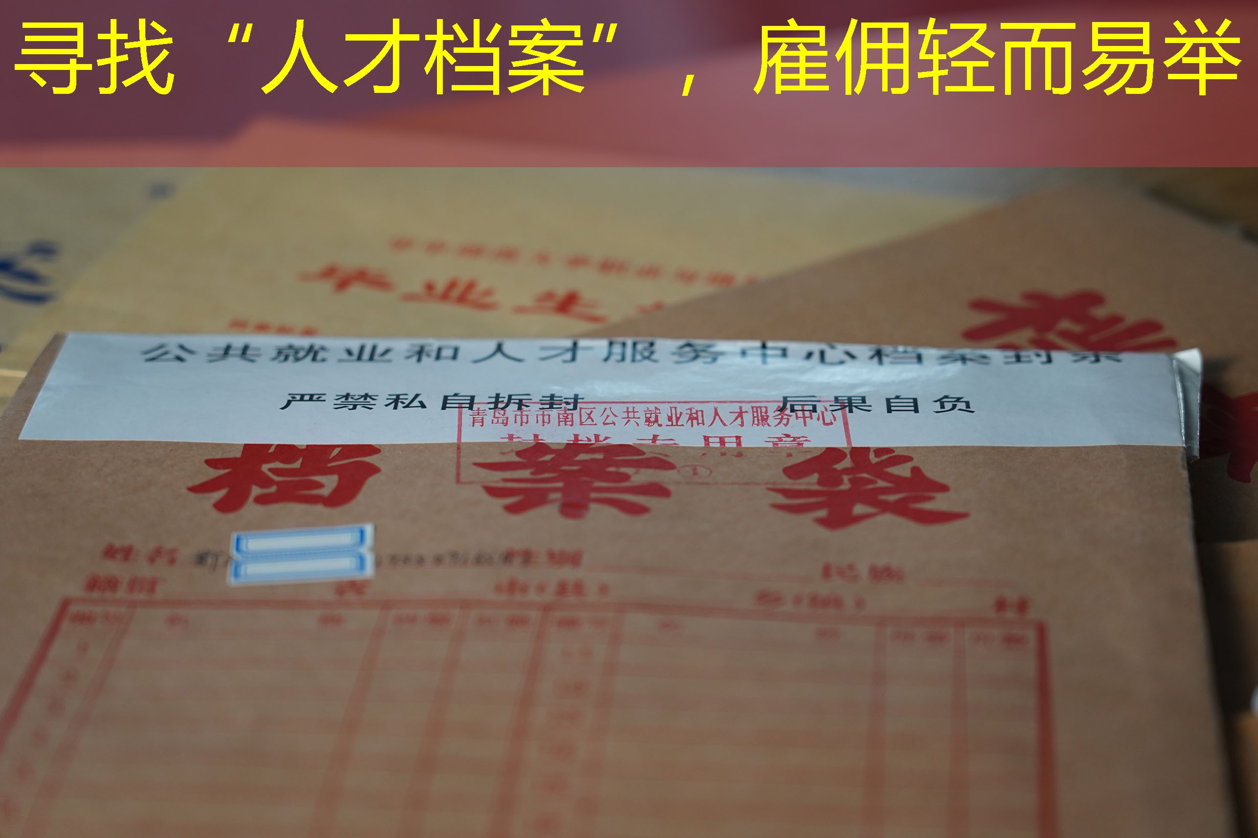 档案查询