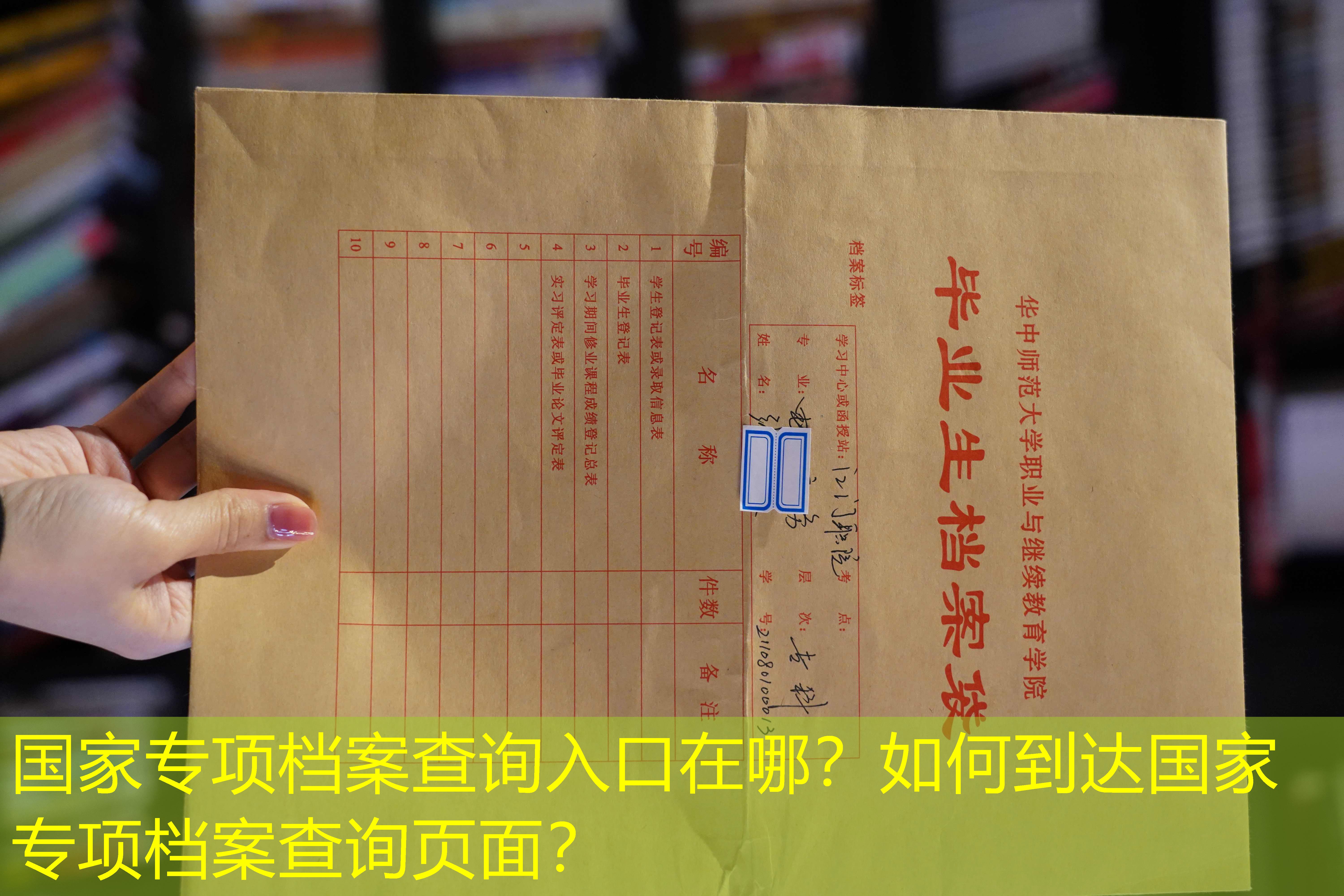 档案查询