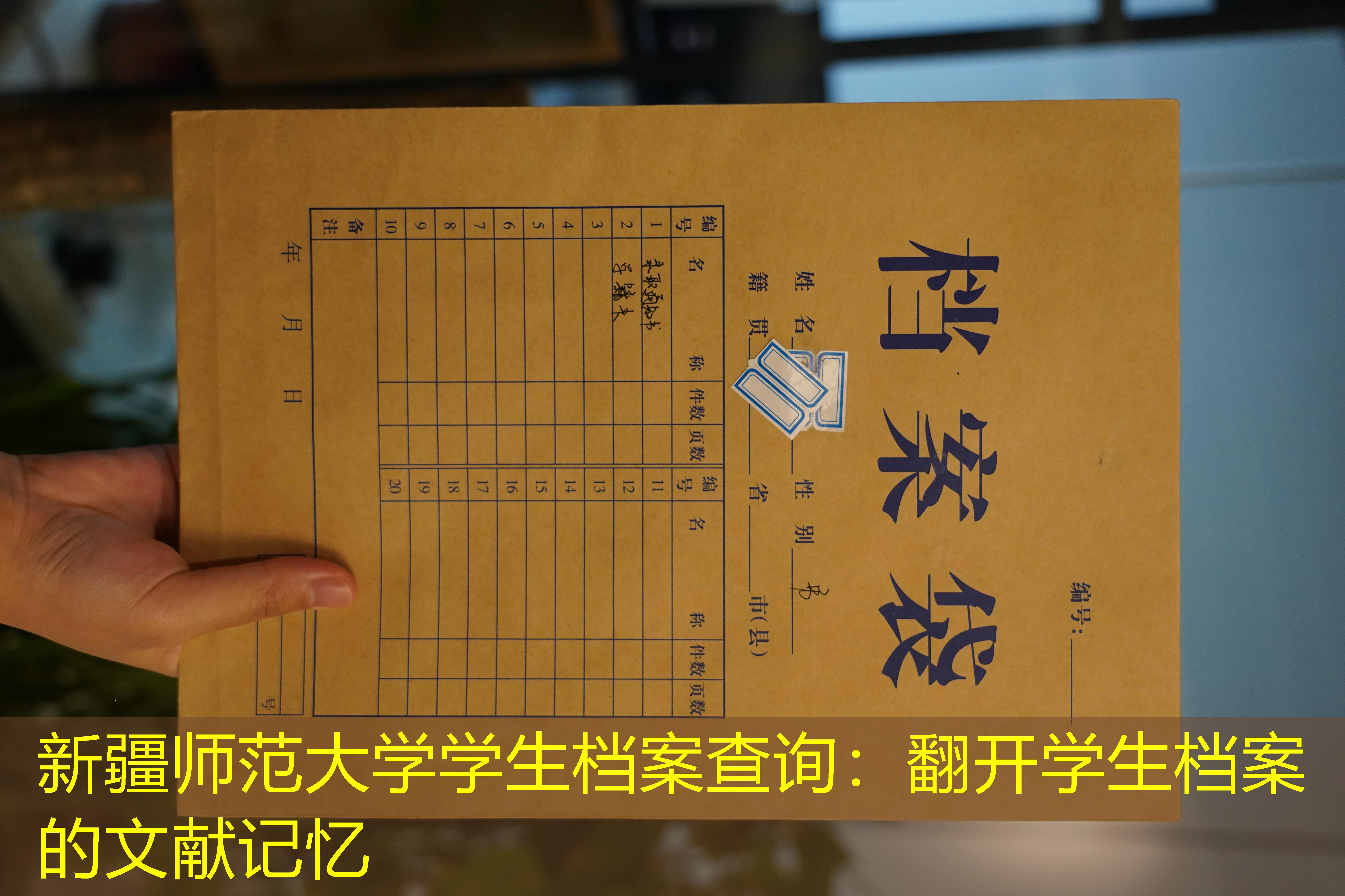 档案查询