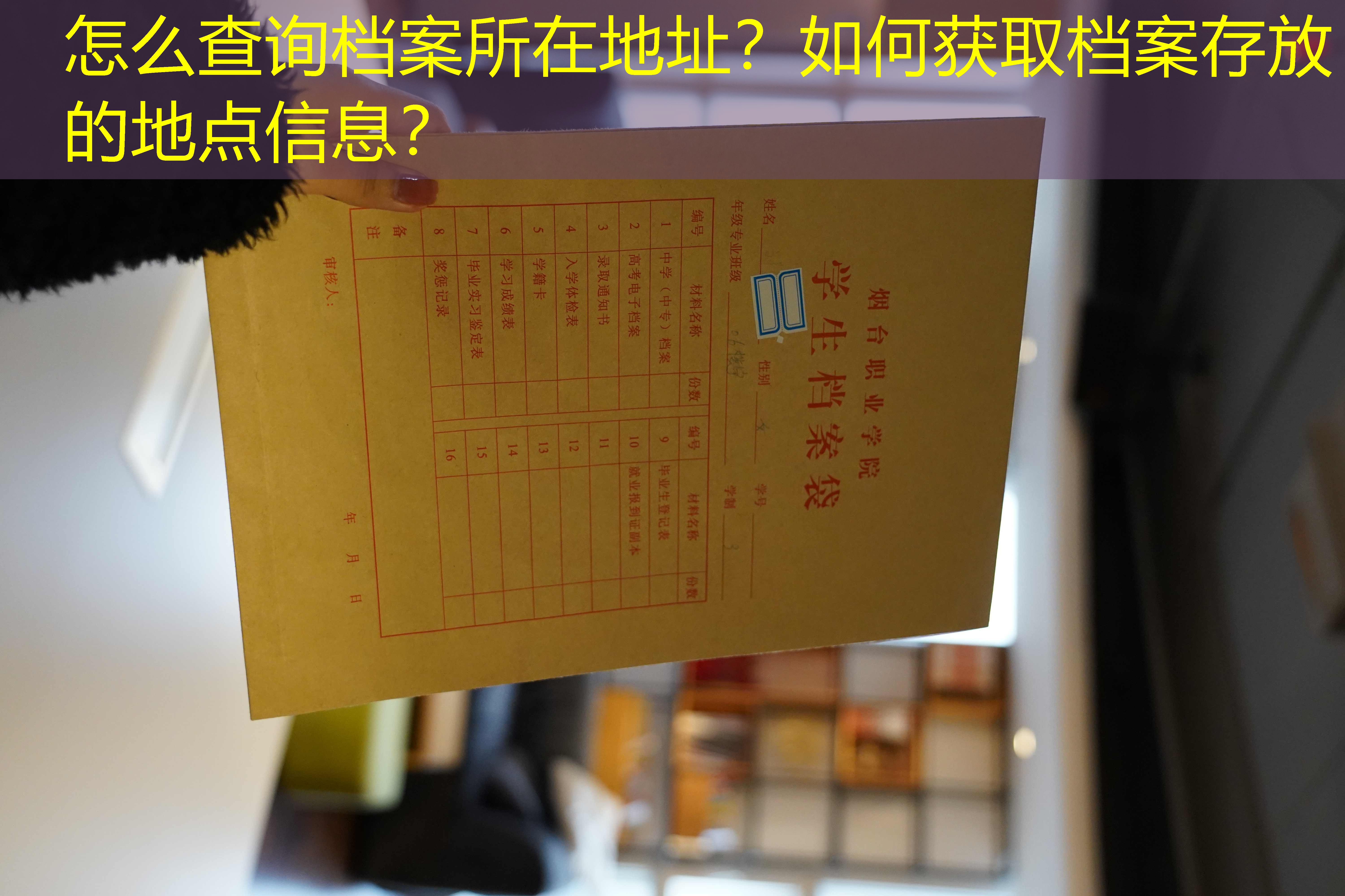 档案查询