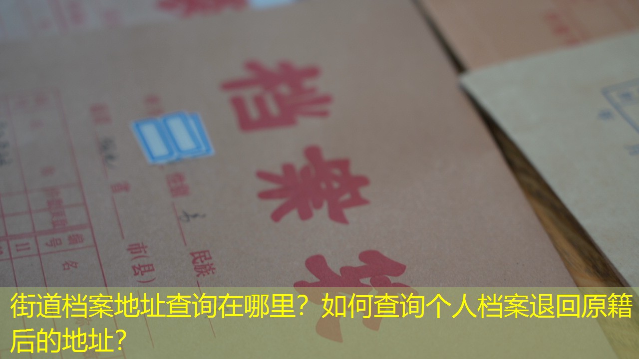 档案查询