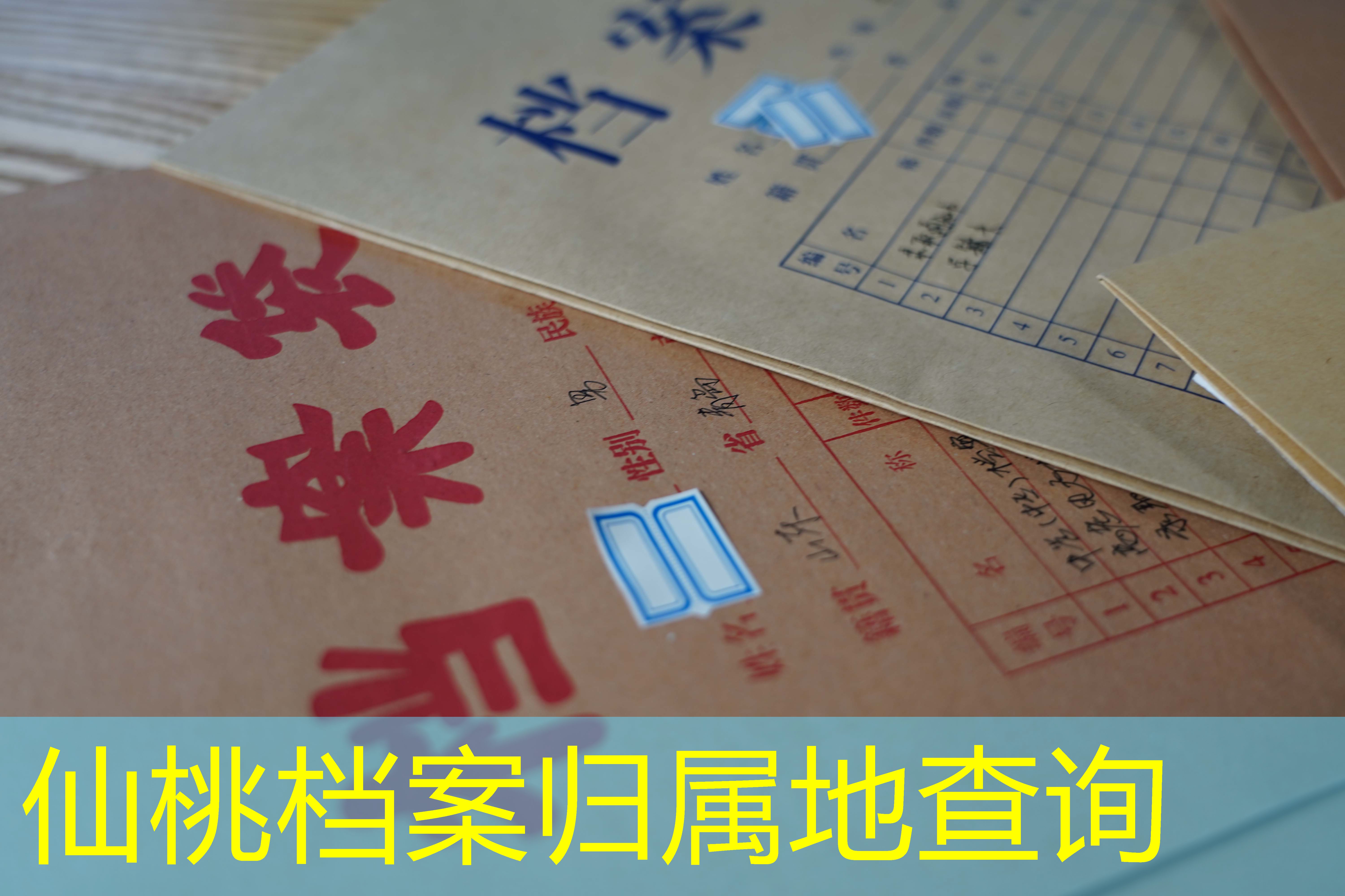 档案查询