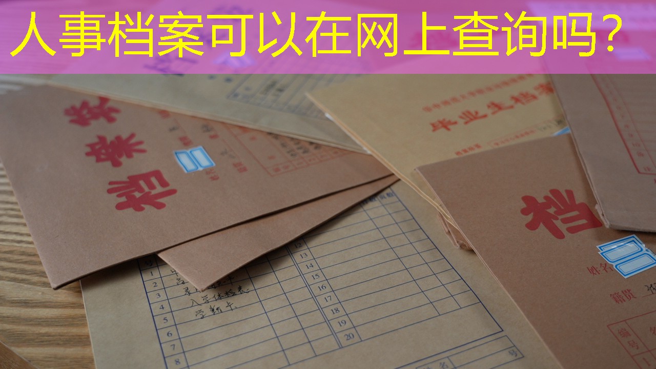档案查询