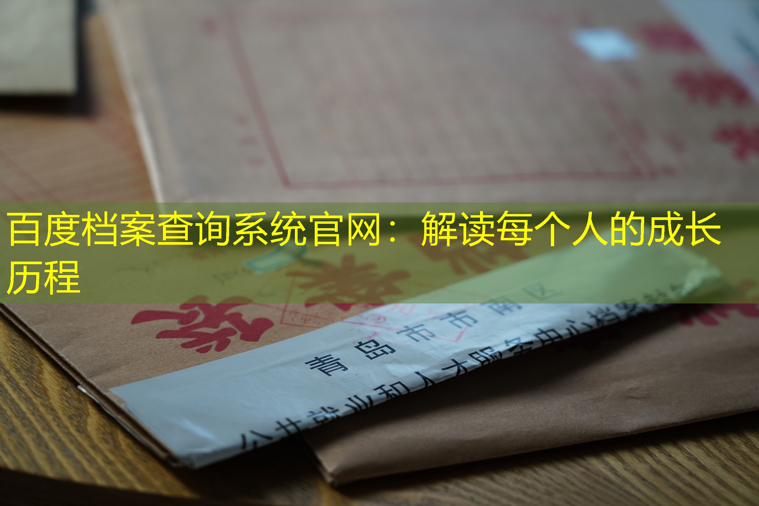 档案查询