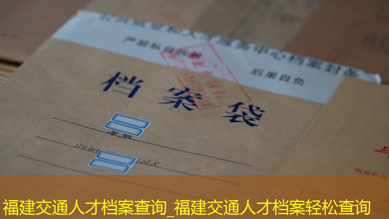 档案查询